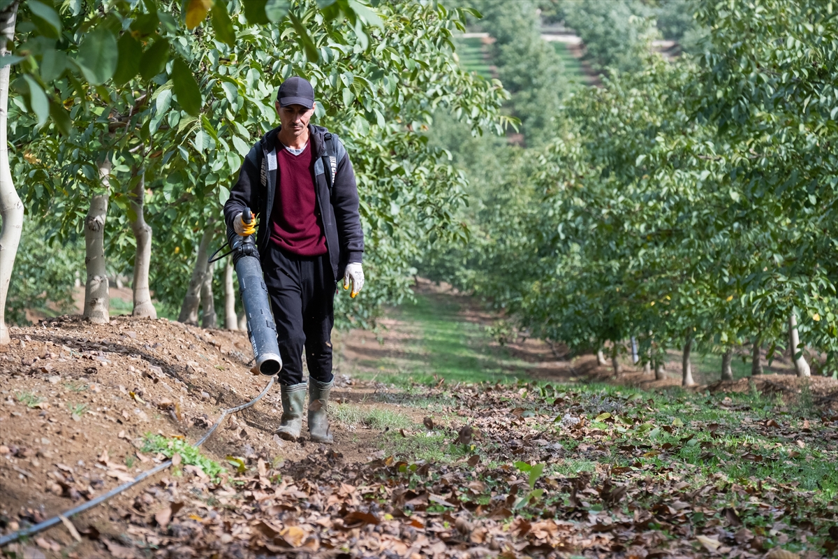 A A 20251108 39650712 39650708 K I R K L A R E L I N D E K I R A C A L A N D A C E V I Z U R E T I M I N E B A S L A Y A N I S L E T M E E L E K T R I G I N I G U N E S T E N K A R S I L I Y O R