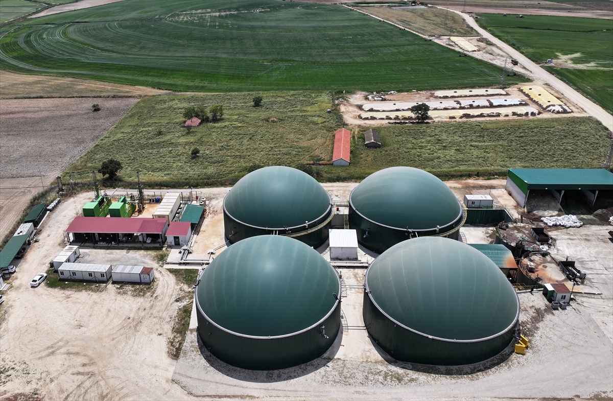 A A 20251112 39688306 39688296 E D I R N E D E K O Y E K U R U L A N T E S I S T E B I T K I S E L V E H A Y V A N S A L A T I K L A R E L E K T R I G E D O N U S U Y O R