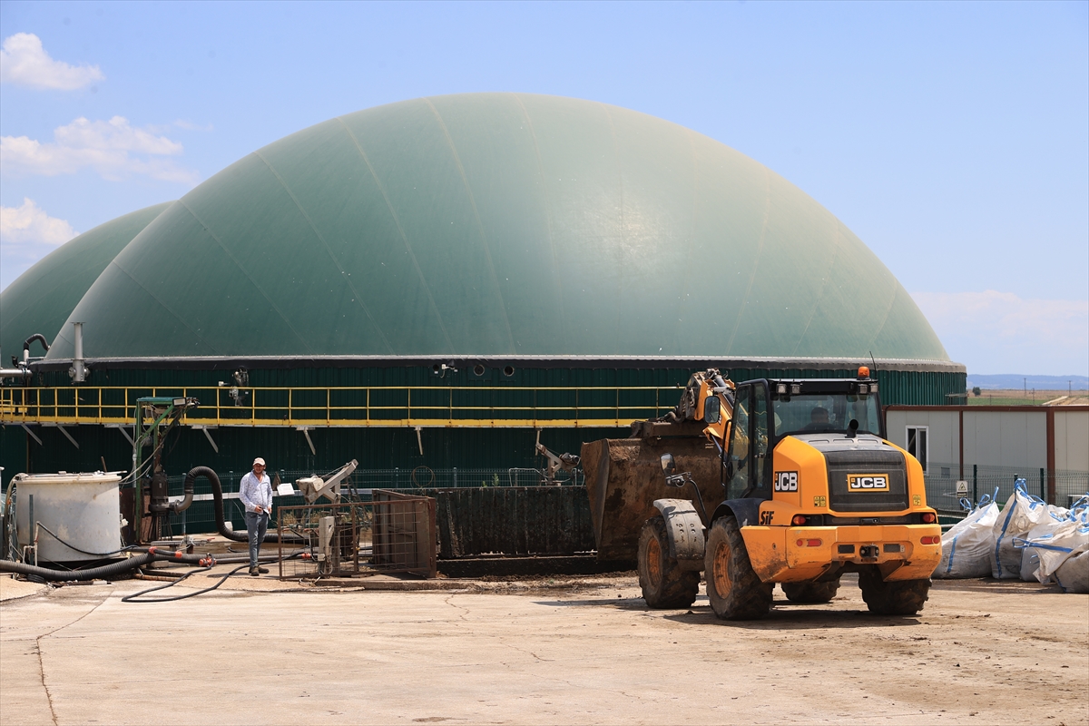 A A 20251112 39688306 39688305 E D I R N E D E K O Y E K U R U L A N T E S I S T E B I T K I S E L V E H A Y V A N S A L A T I K L A R E L E K T R I G E D O N U S U Y O R