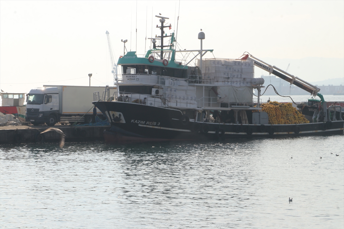 A A 20251116 39722618 39722610 M A R M A R A D E N I Z I N D E K I B O L L U K B A L I K C I L A R I T E K I R D A G A C I K L A R I N A C E K T I