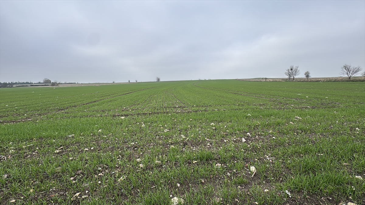 A A 20251122 39772637 39772633 T R A K Y A D A C I F T C I L E R I N B U G D A Y E K I M M E S A I S I S U R U Y O R