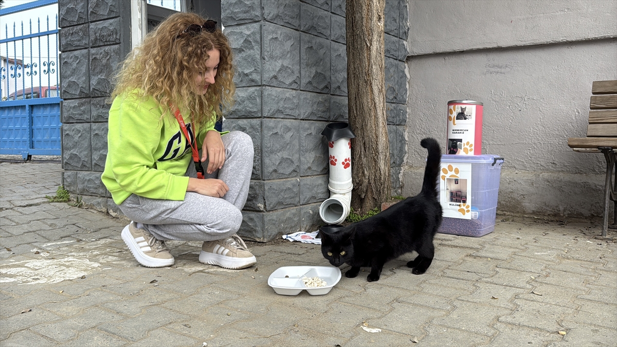 A A 20251122 39773294 39773285 P E L I N O G R E T M E N 11 Y I L D I R C O C U K L A R I M D E D I G I K E D I L E R I B E S L I Y O R