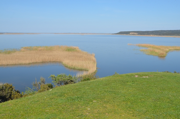 A0Fdef67 8848 49Bd B08A De93A918Aaf4