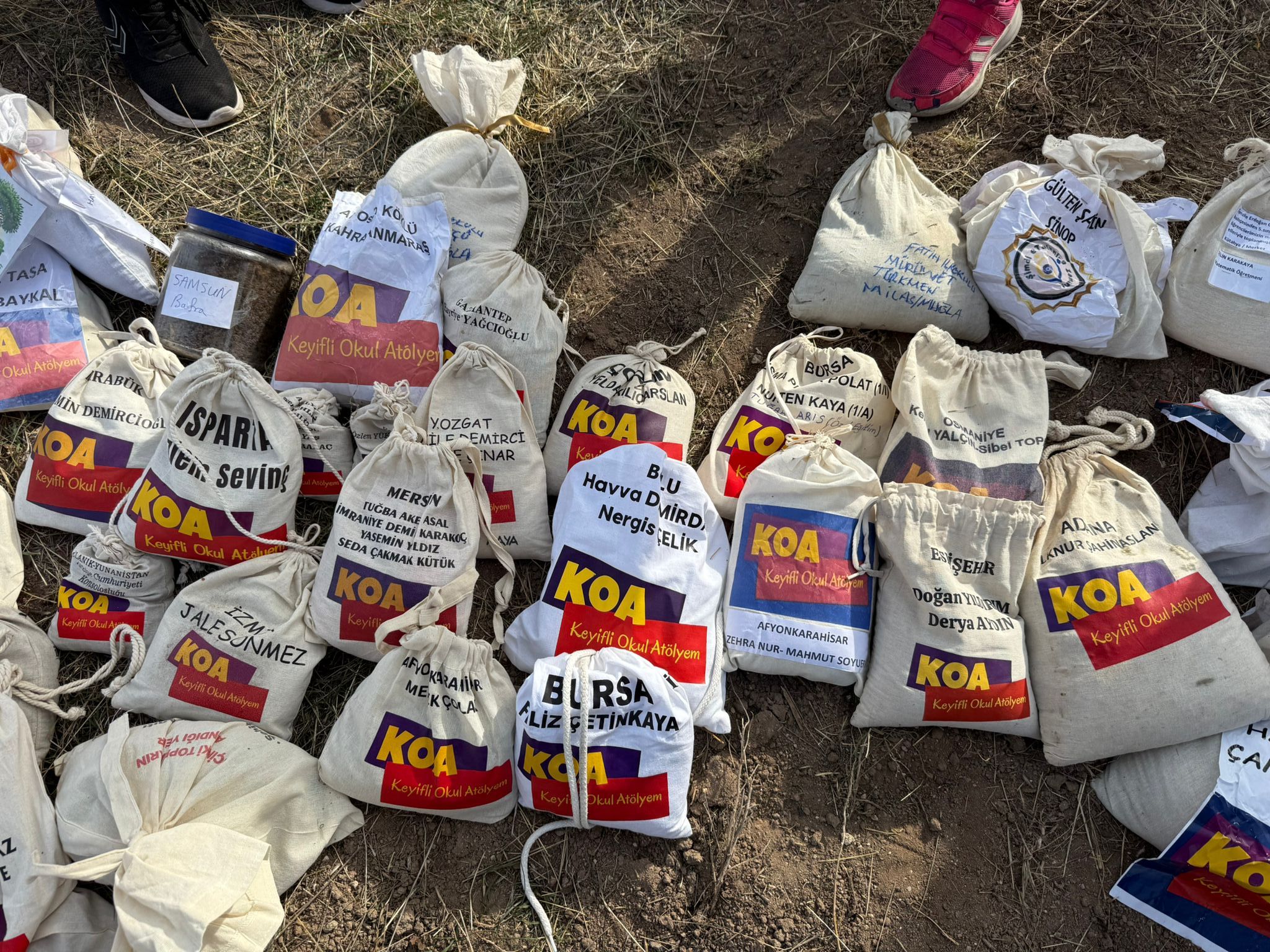 Cab8F44E 8673 450F A008 6B62Cd990Beb