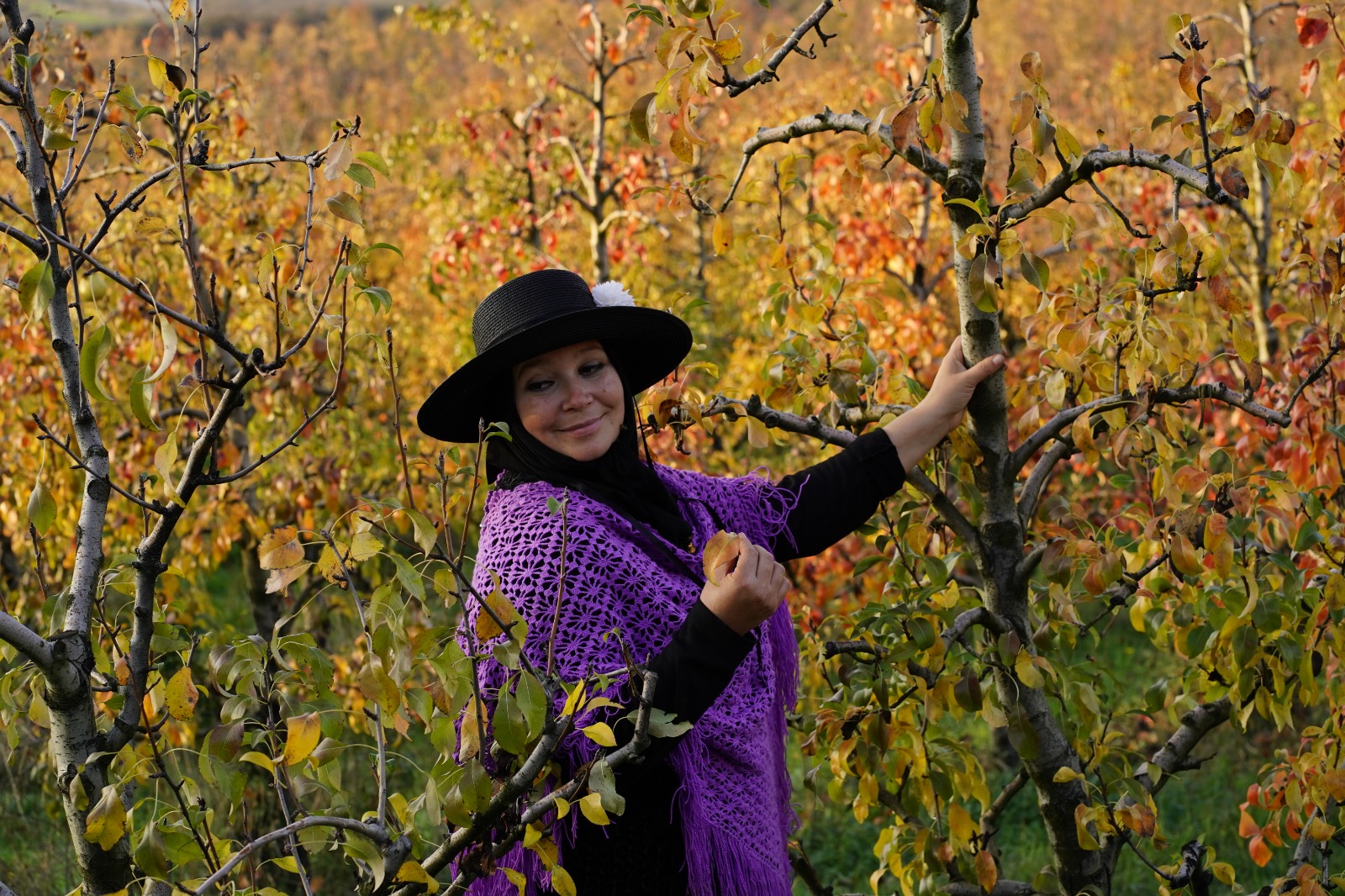 D76Bbce8 43D9 40Ff 839C E02152B70275