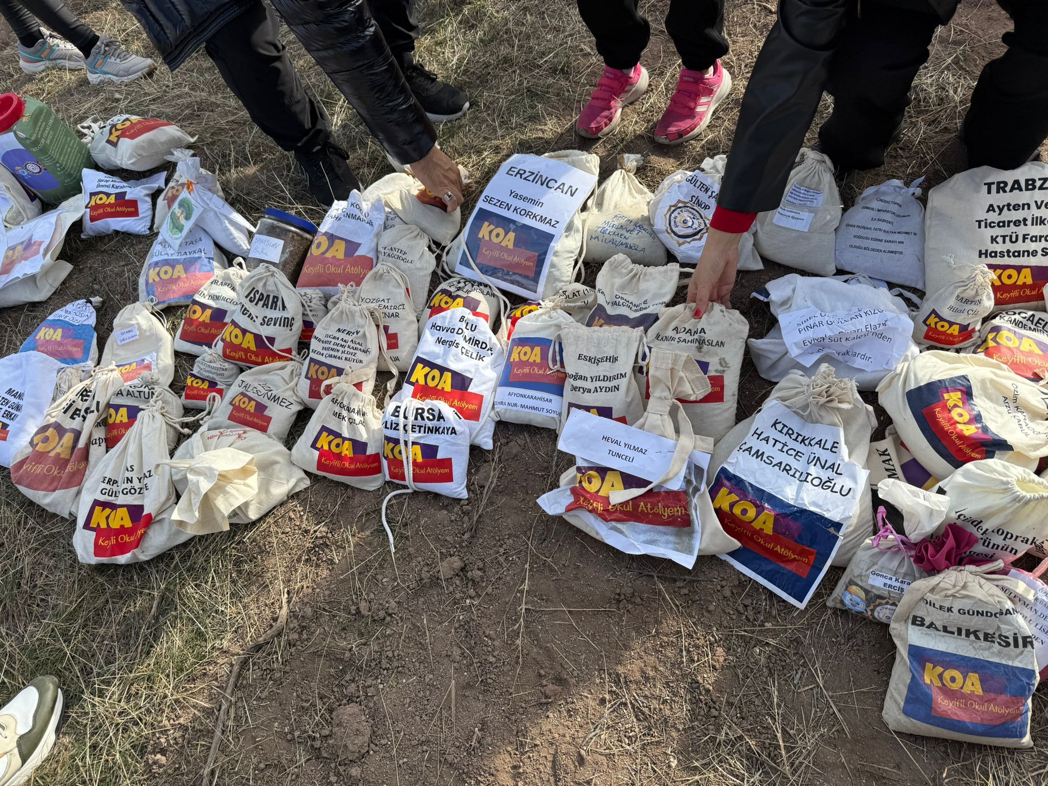 Df6669A0 5018 4D2A A9C8 1Efe217E7D6C