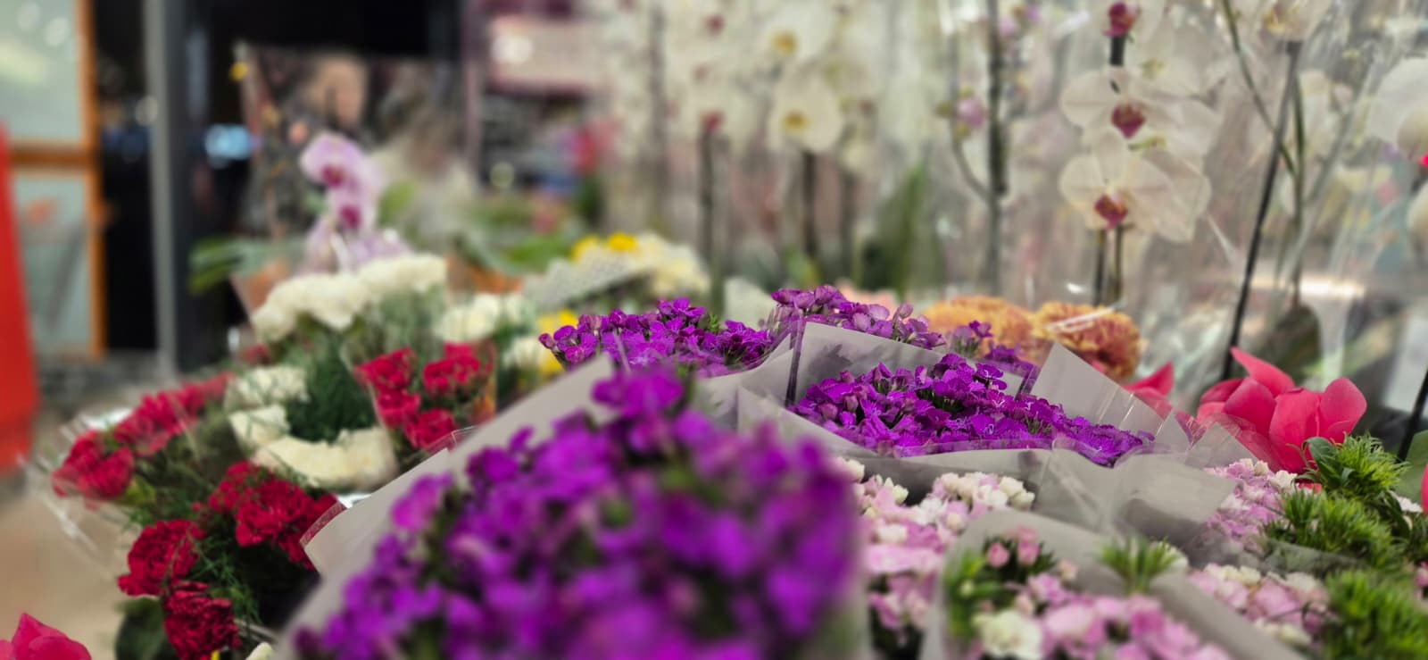 F67A8De2 C5Dc 4711 8733 0F22F0670C91