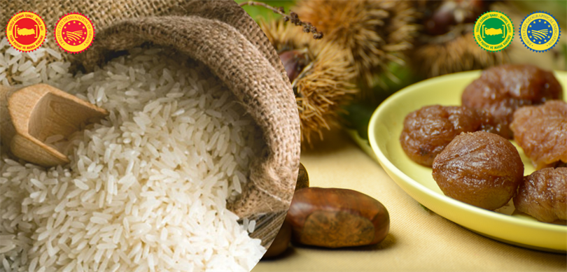 Kestane İpsala Pirinç Ab Tescil Vitrin