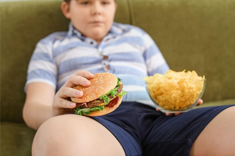 Obese Child Holding Junk Food 777X518