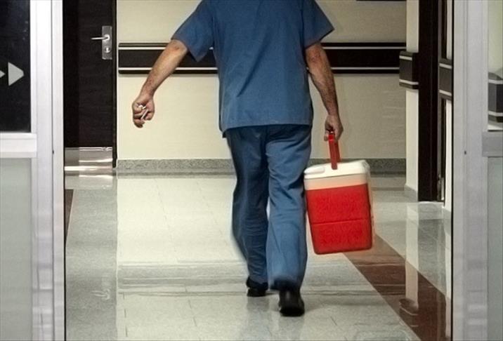 Thumbs B C 984864E08B6Eab1B4B84D58899554205