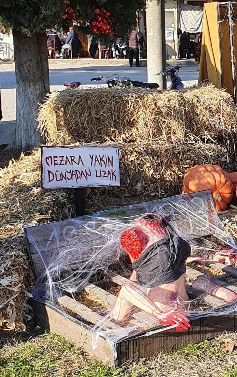 0A238241 03F1 4458 Ab9D Db5D9B90968E