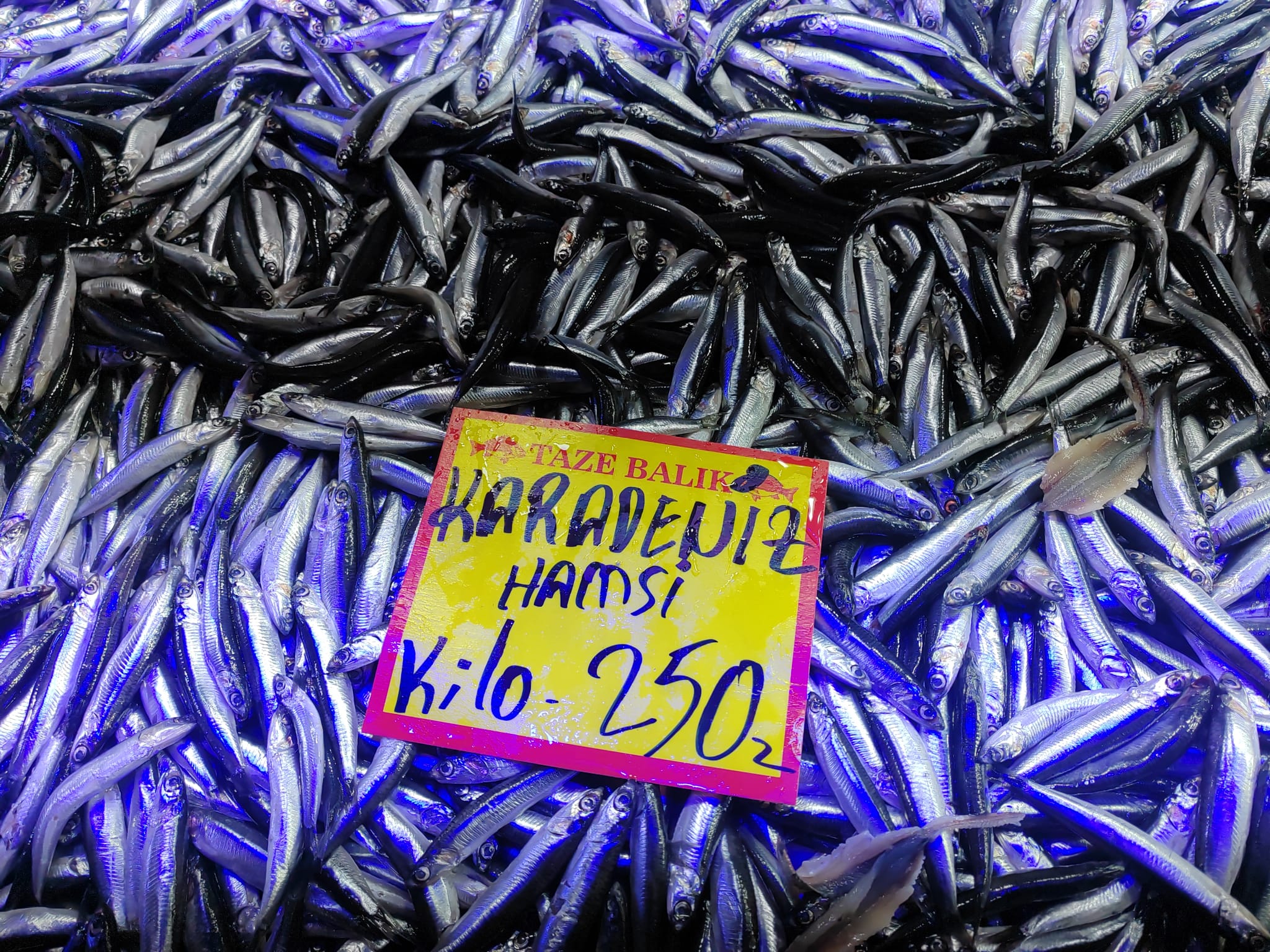 324D1Af6 D315 4B66 A9A7 5Ebd44A26Ad7