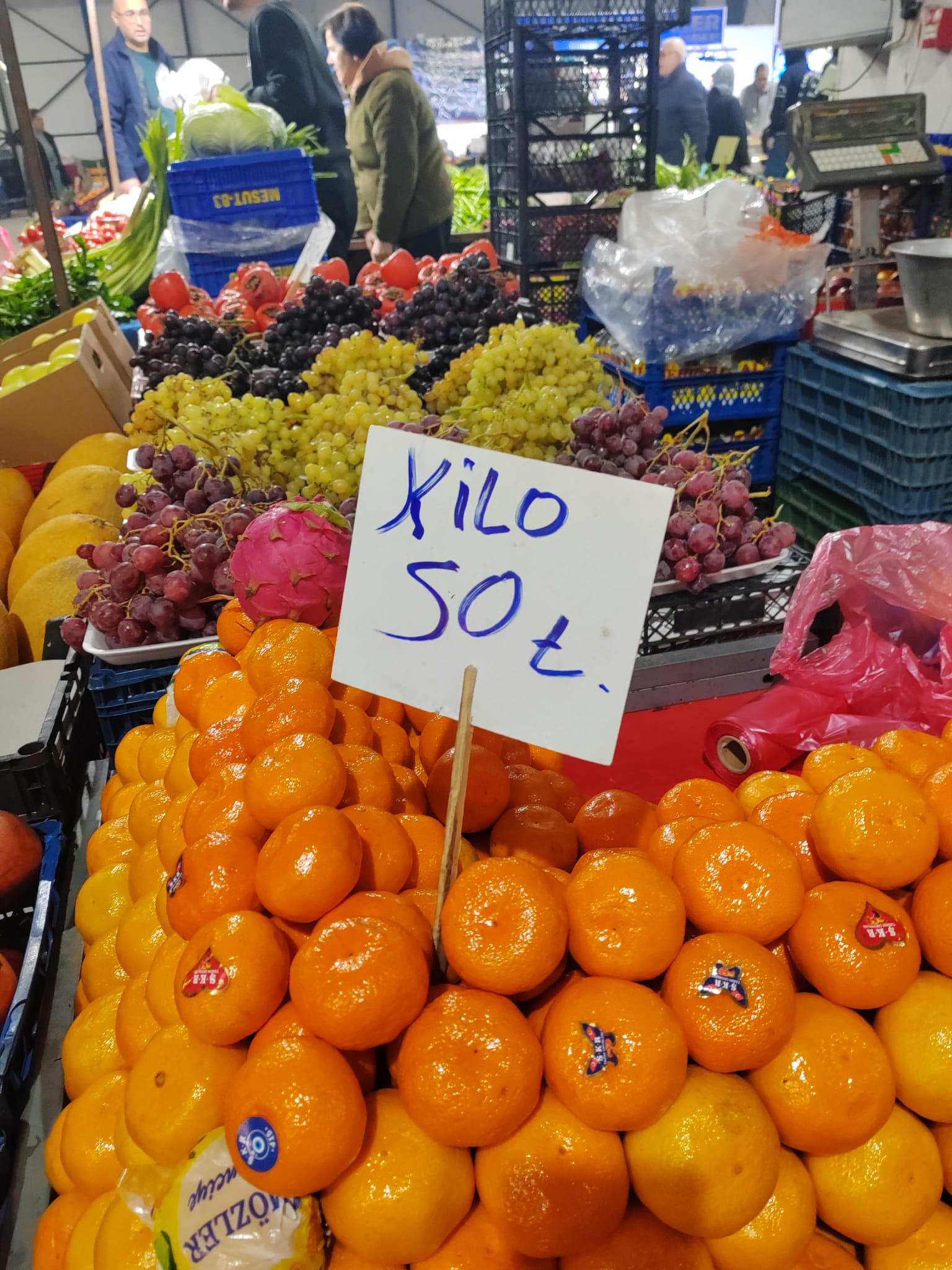 511A860E 8681 4Ea2 84Ef 825366F1F6Fa