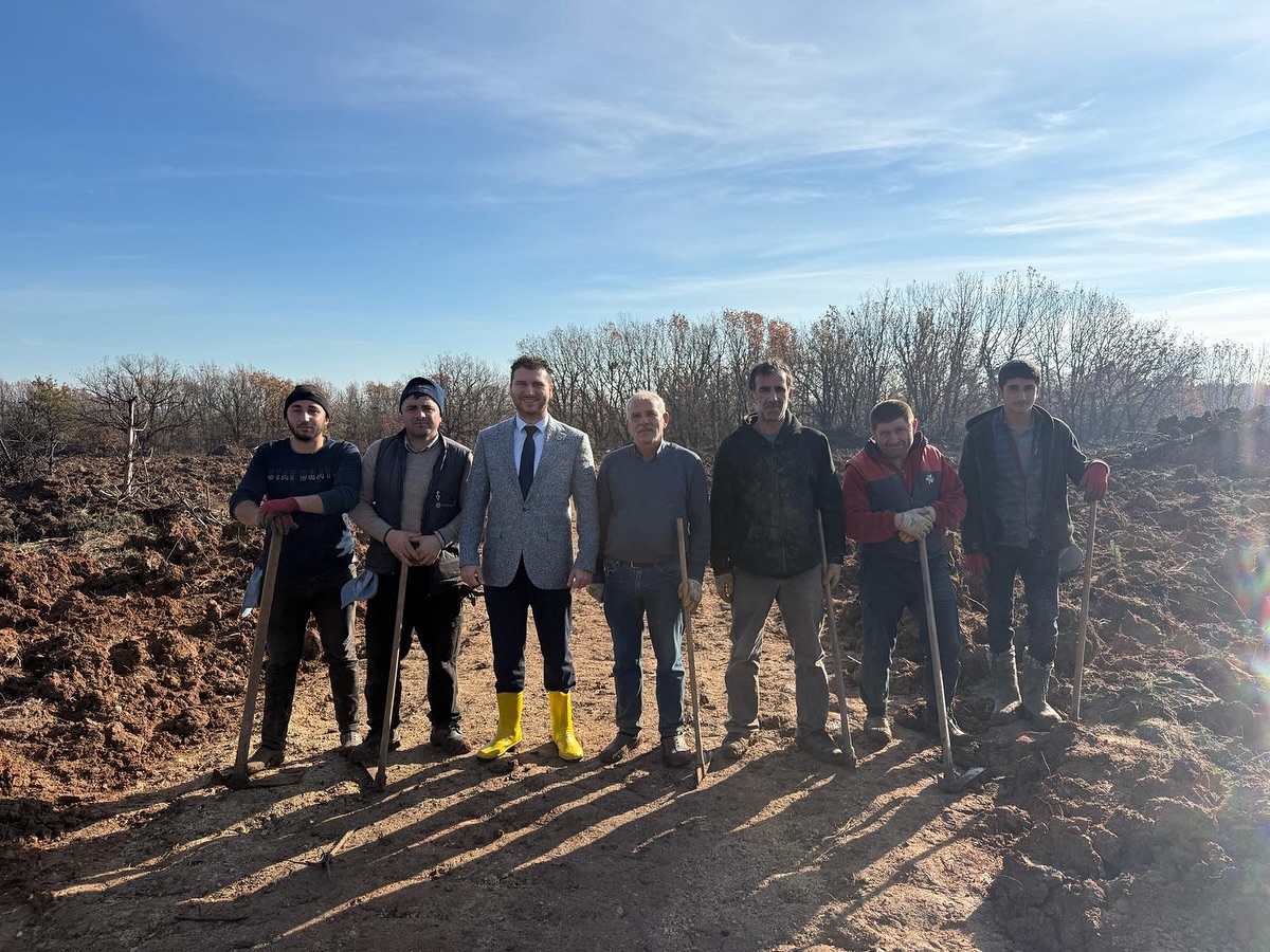 587294792 17936097927109197 3855298045523461862 N