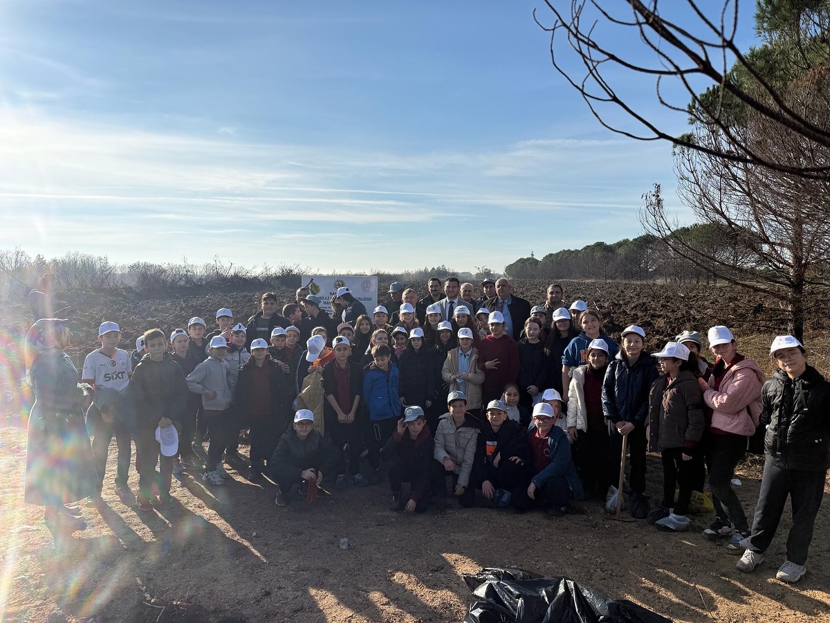 587374888 17936097813109197 6908675777198291055 N