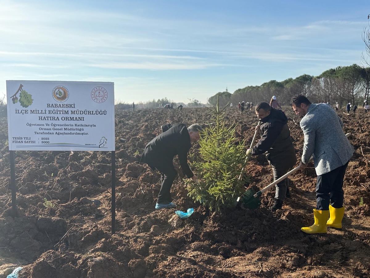 587687576 17936097843109197 7261351454054770543 N