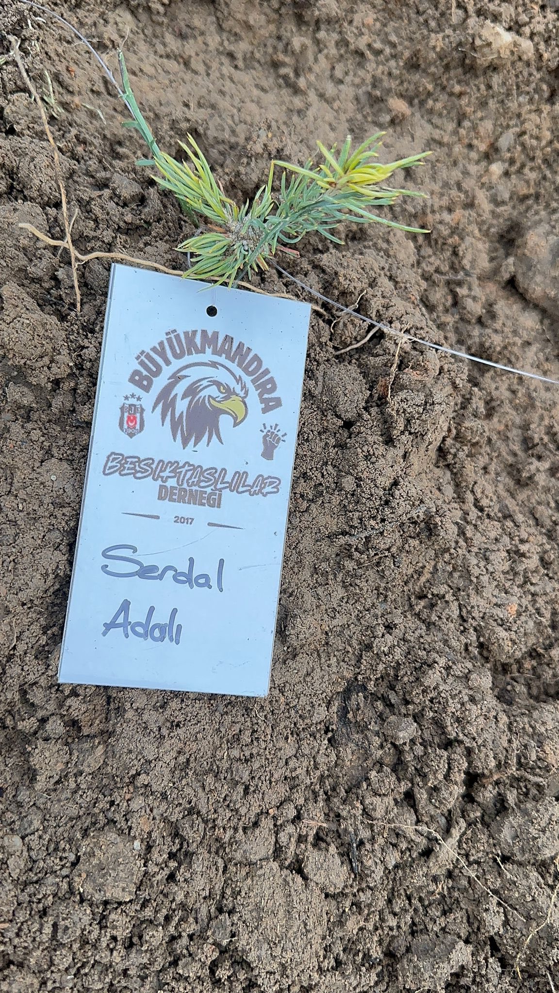 592101677 25578968015031568 5650566364485099544 N