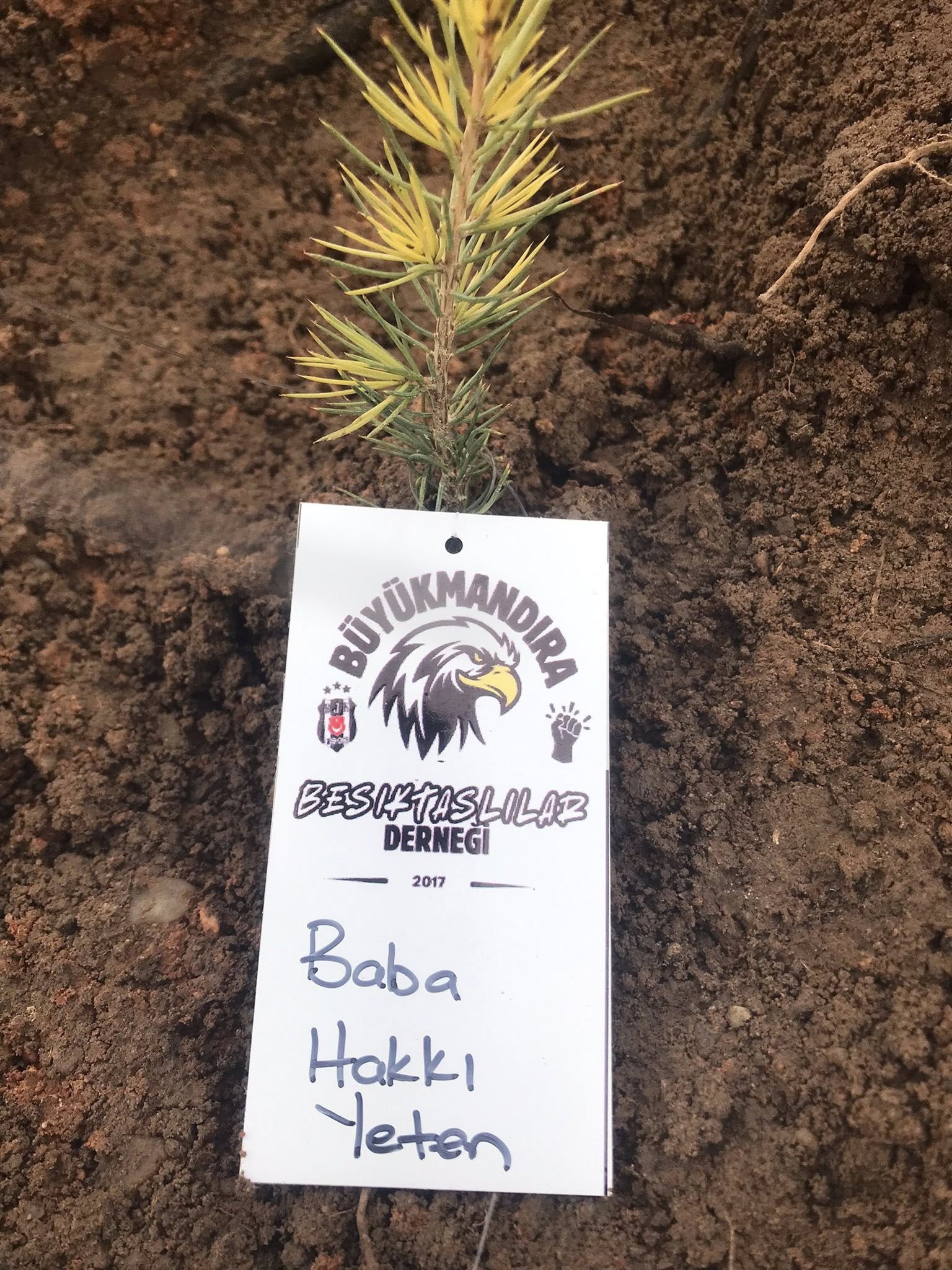 592111980 25578969935031376 7996606420444428201 N