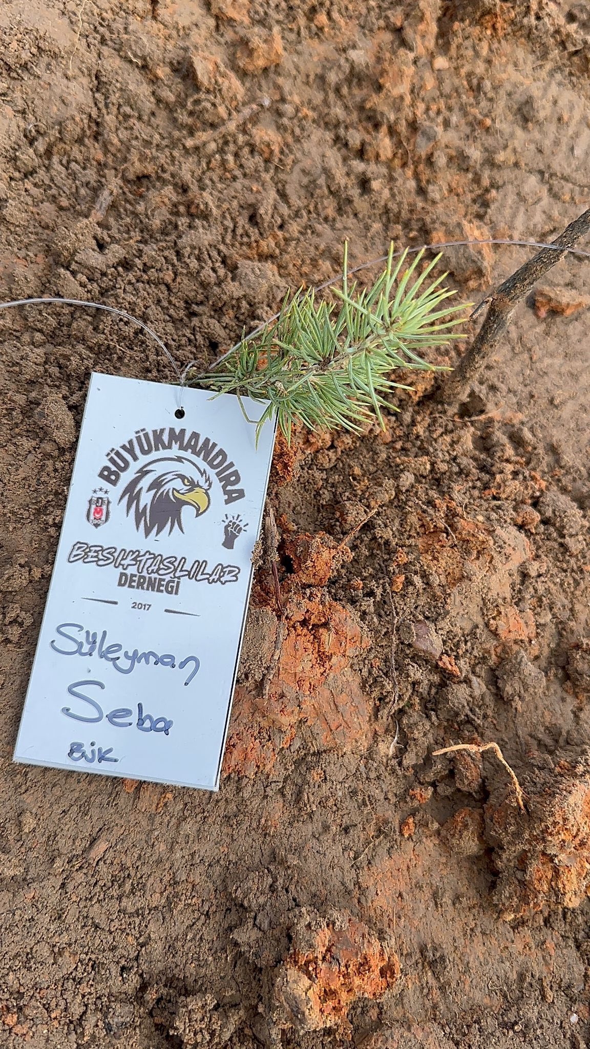 592253640 25578969301698106 6985519098459720232 N