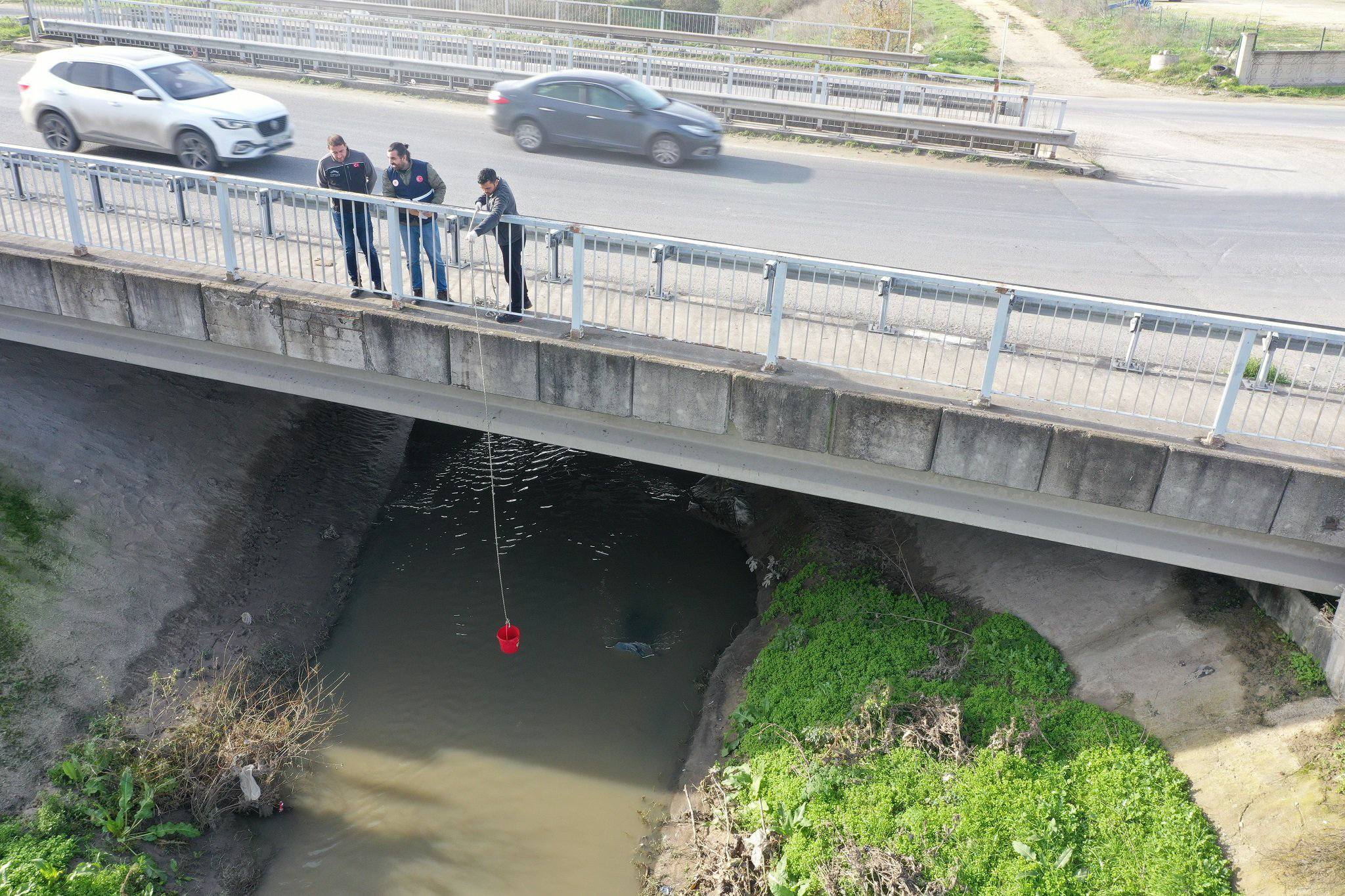 597681330 1179197117736459 4146919557214522733 N