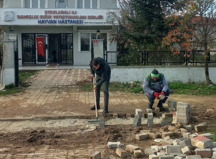 598567086 4190343861226207 2230270362755153958 N