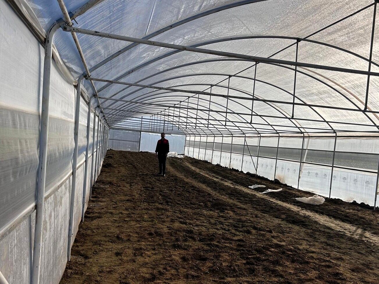 600315755 1316260640515598 3373173246547572572 N-1