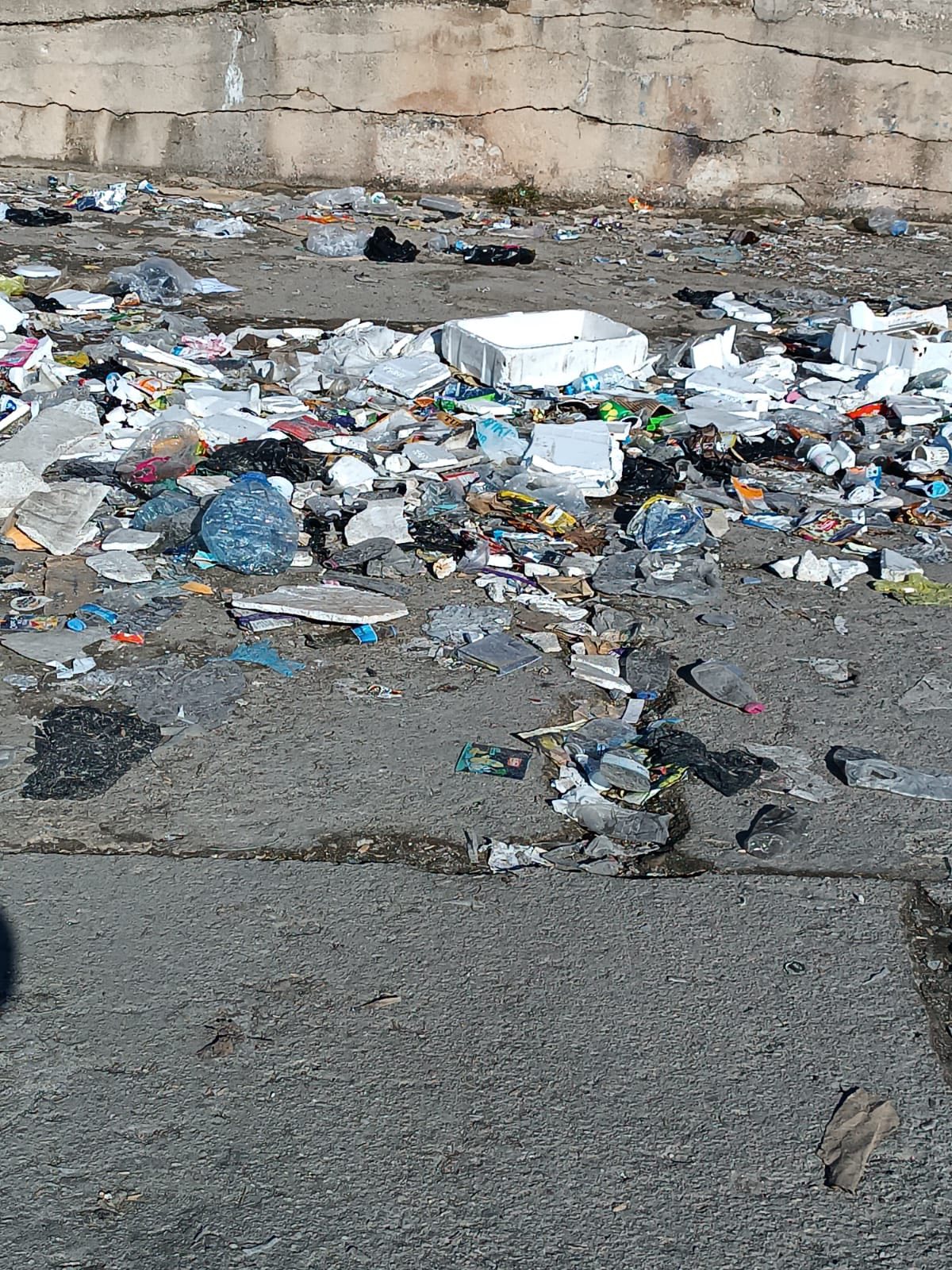 601386116 122229950576274107 655717580880449119 N