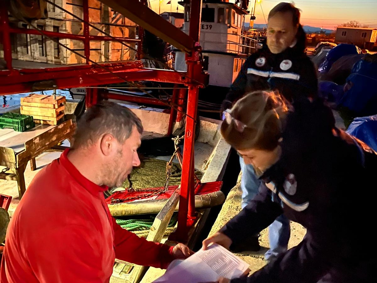 602354364 1317612070380455 6336004102021017674 N