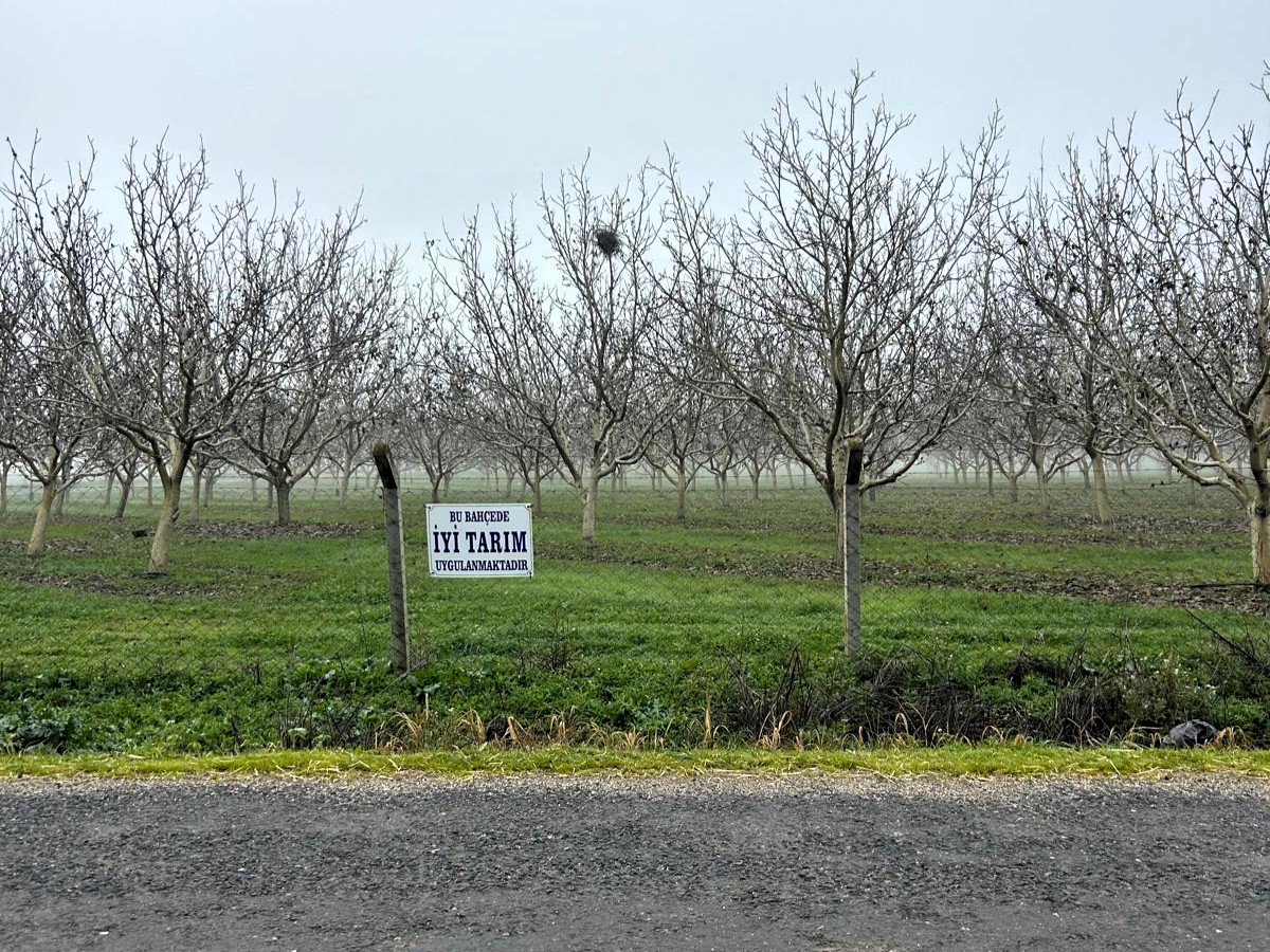 602919523 1318396353635360 7520658830103093341 N