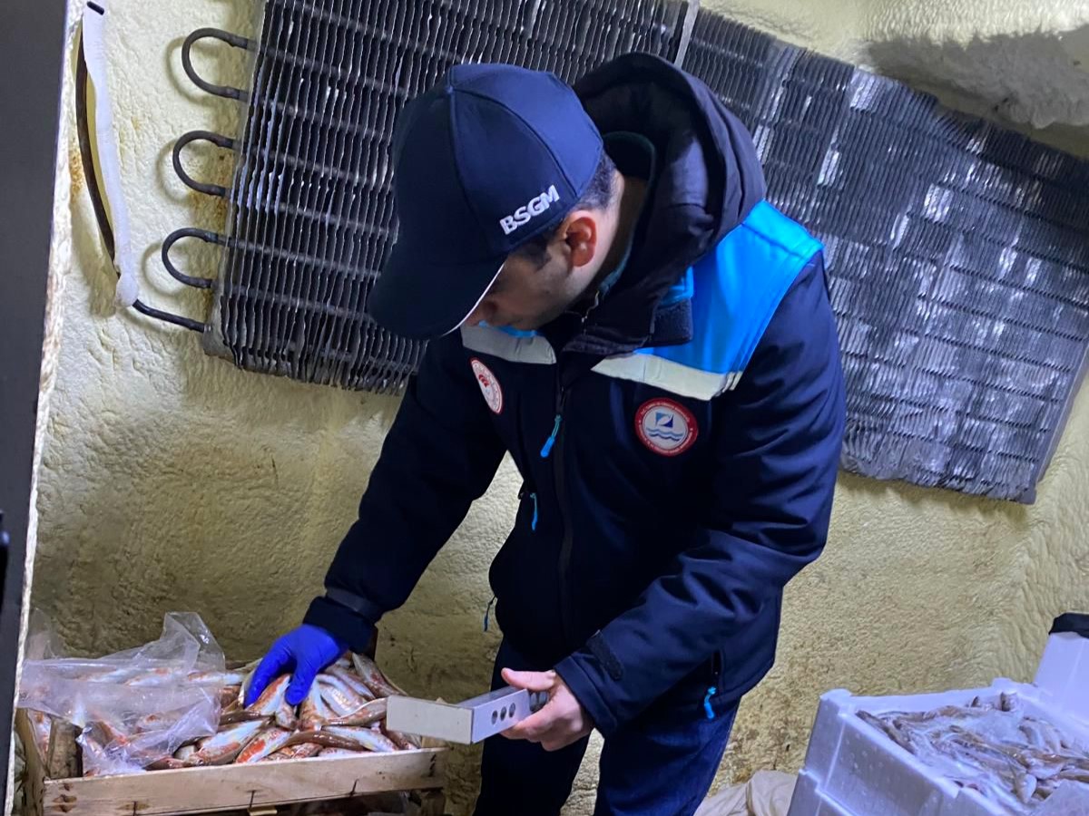 603055645 1320752676733061 221388047338475005 N