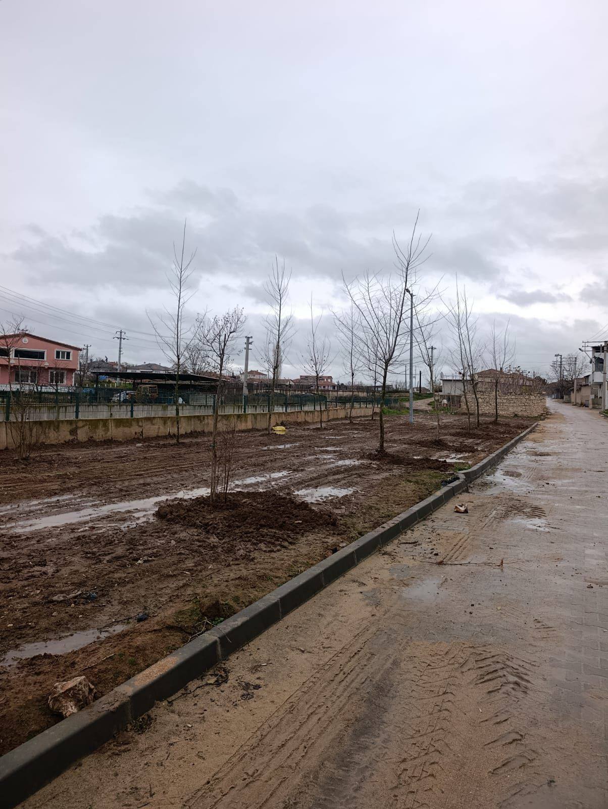 603902011 4202646303329296 8506927180568686805 N