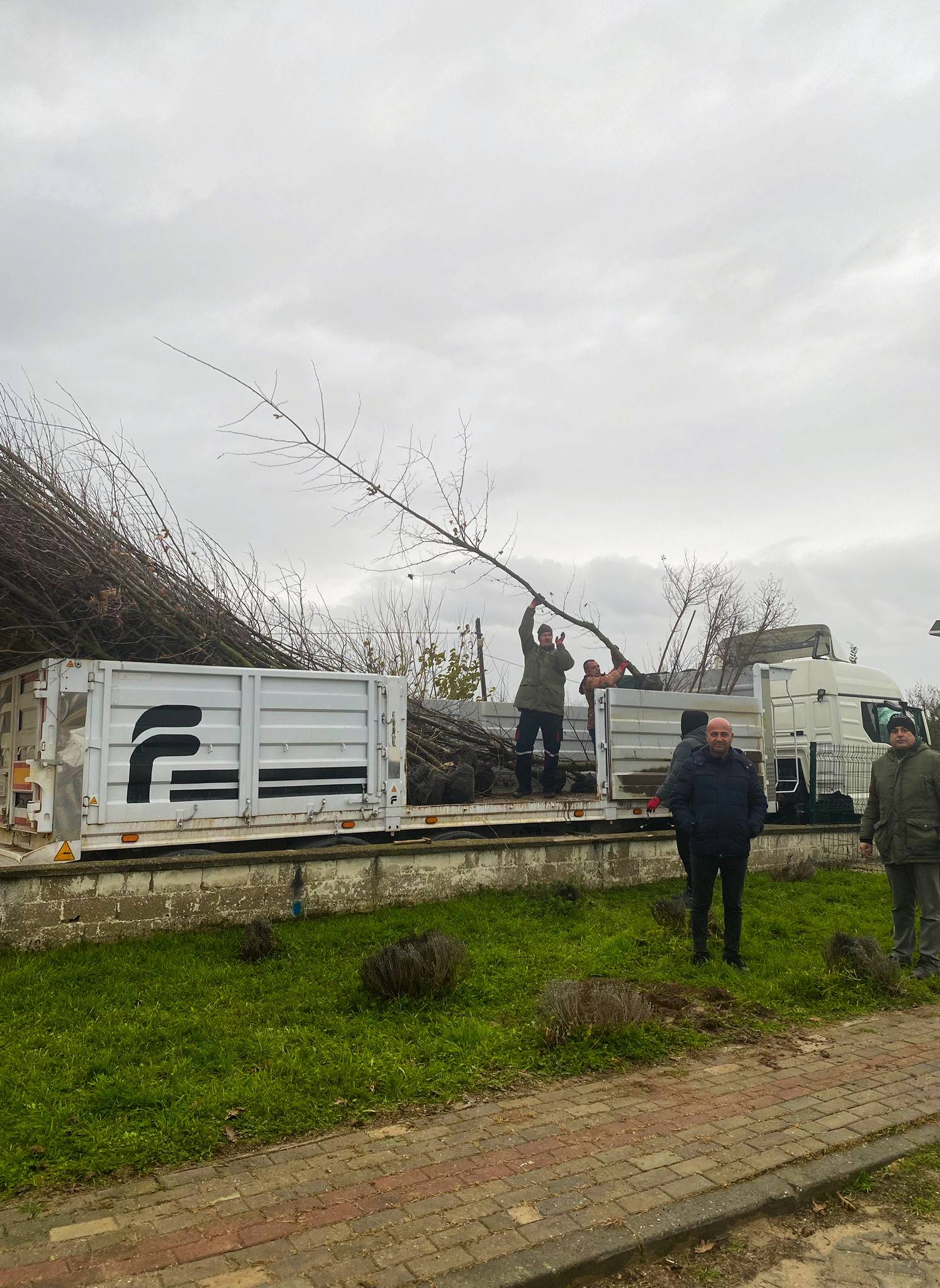 605143367 4202645926662667 6211856252979953904 N