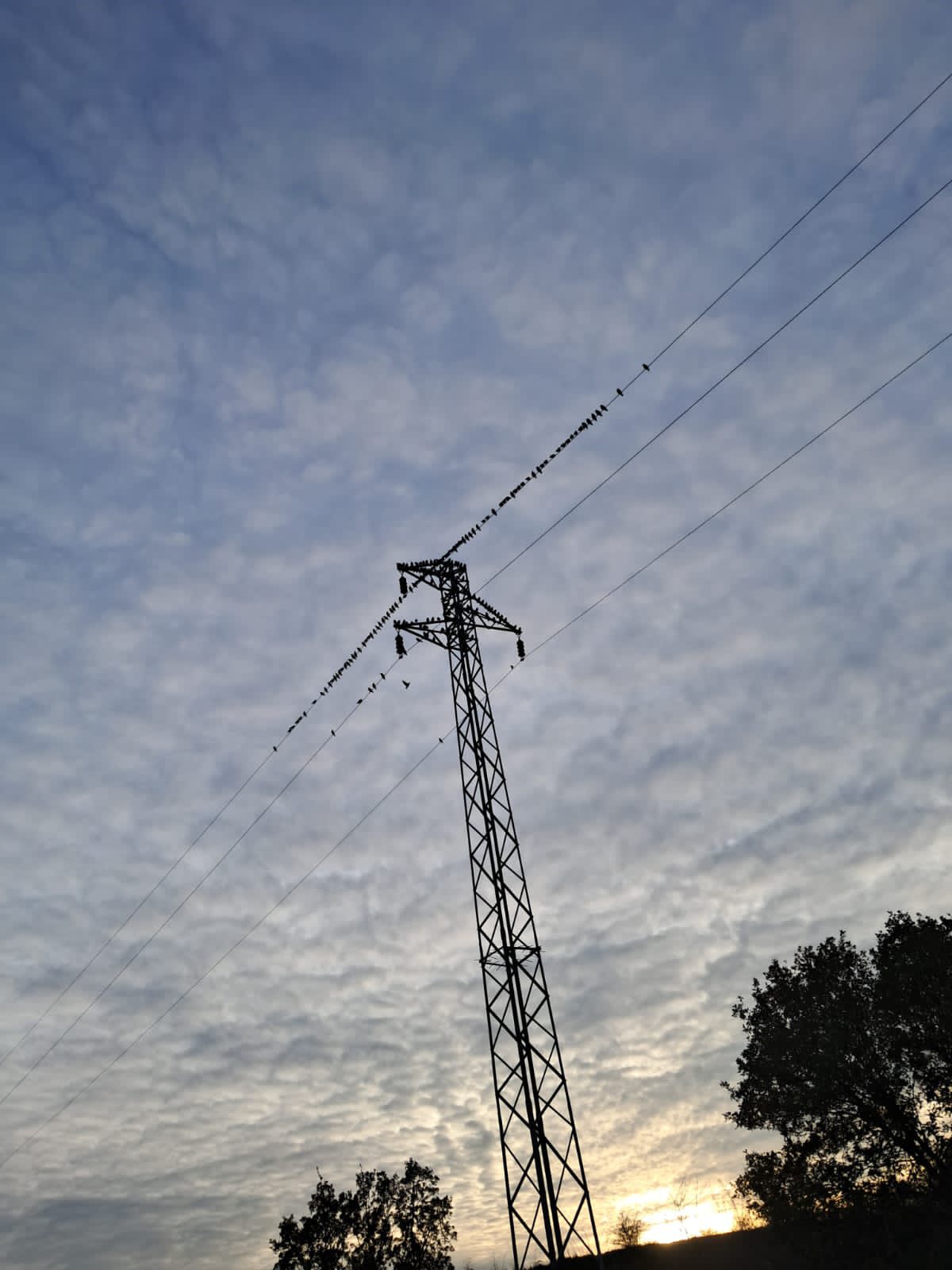 605815414 1197338692533834 6132638406250374383 N