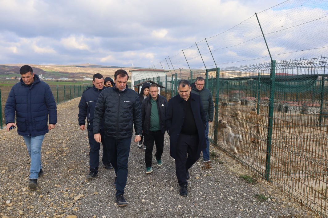 606347832 18123045196548697 1117532375320547279 N