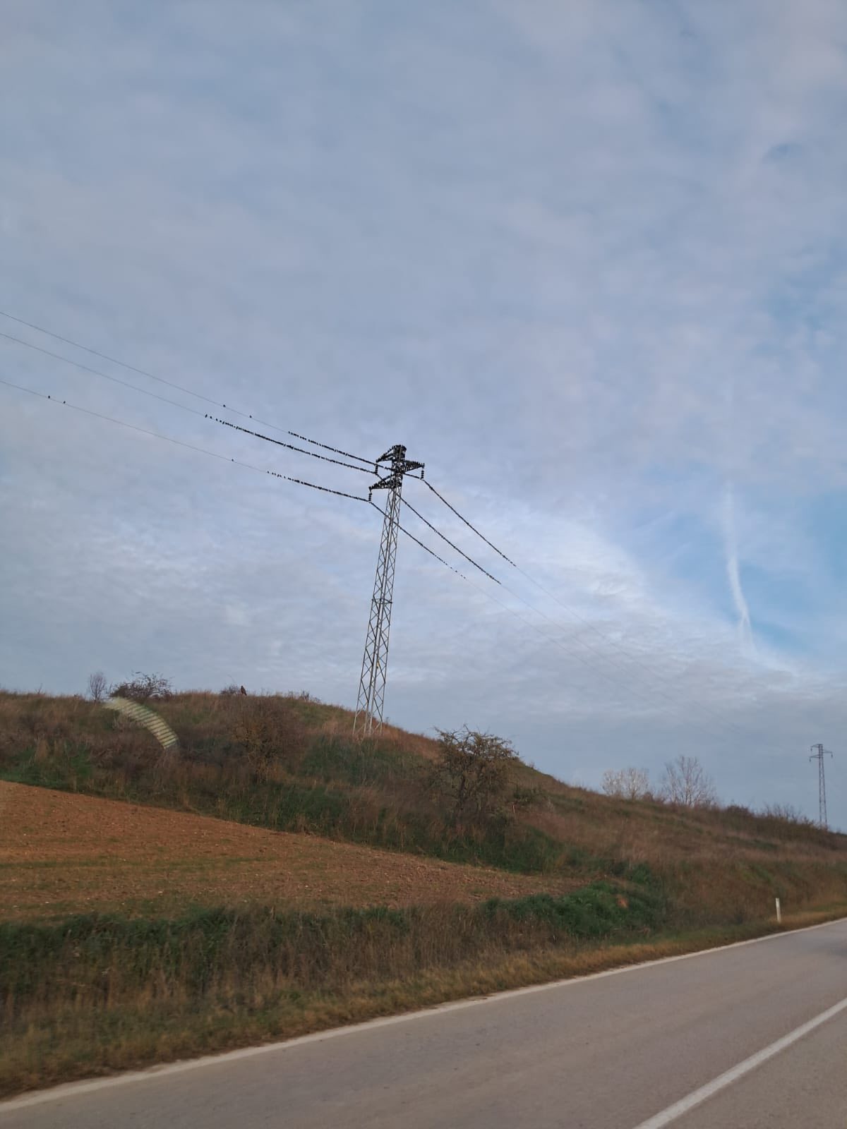 607048114 1197338669200503 8204496121301103747 N