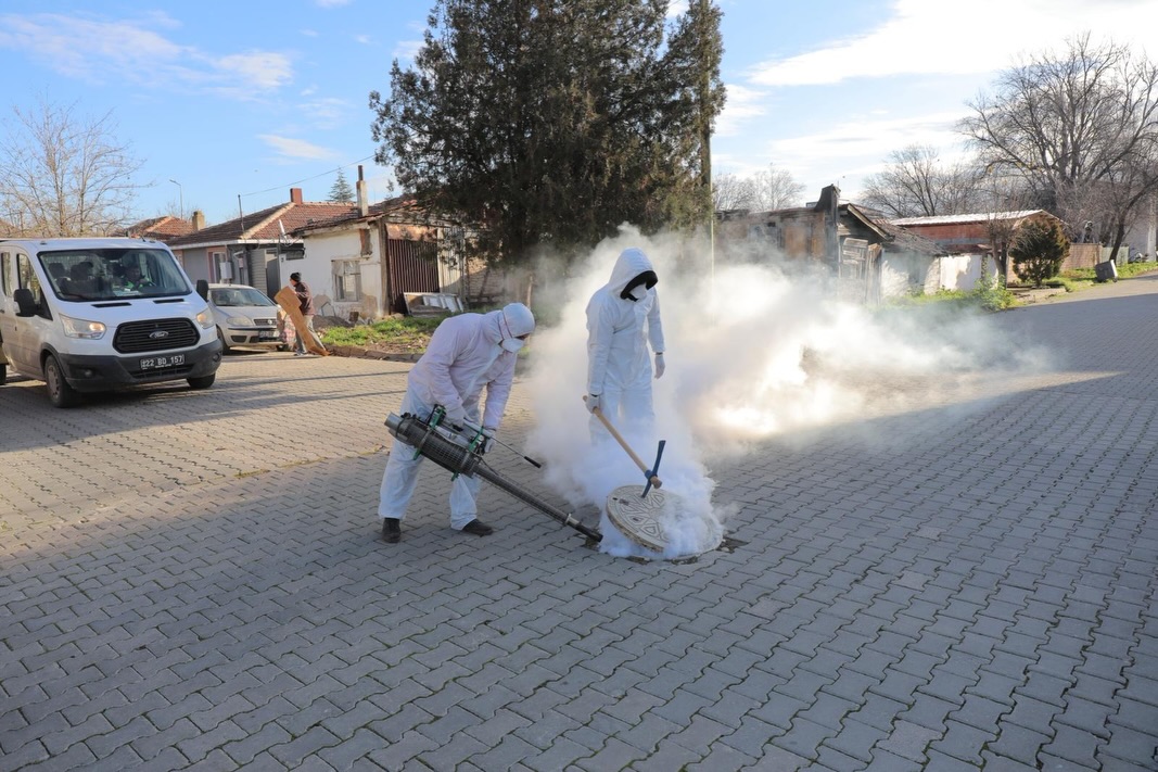 607968892 18437536897105186 660597344856956398 N