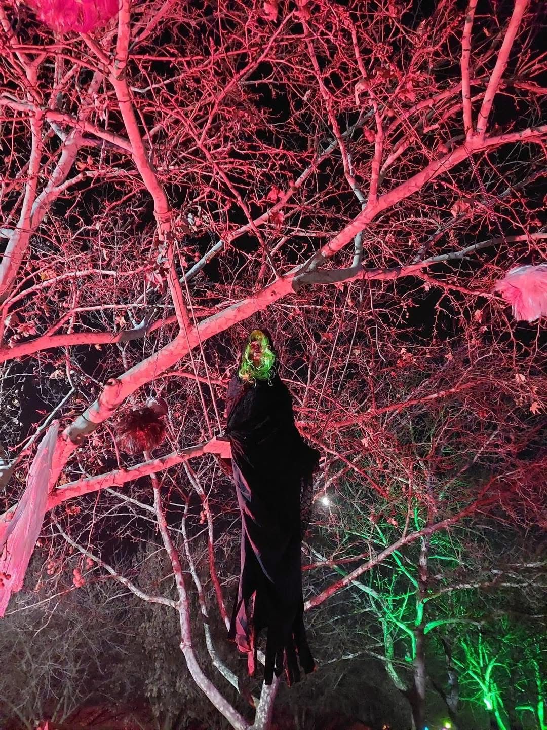 6B0717E5 5D22 4Bc0 B2A8 8543139927A8