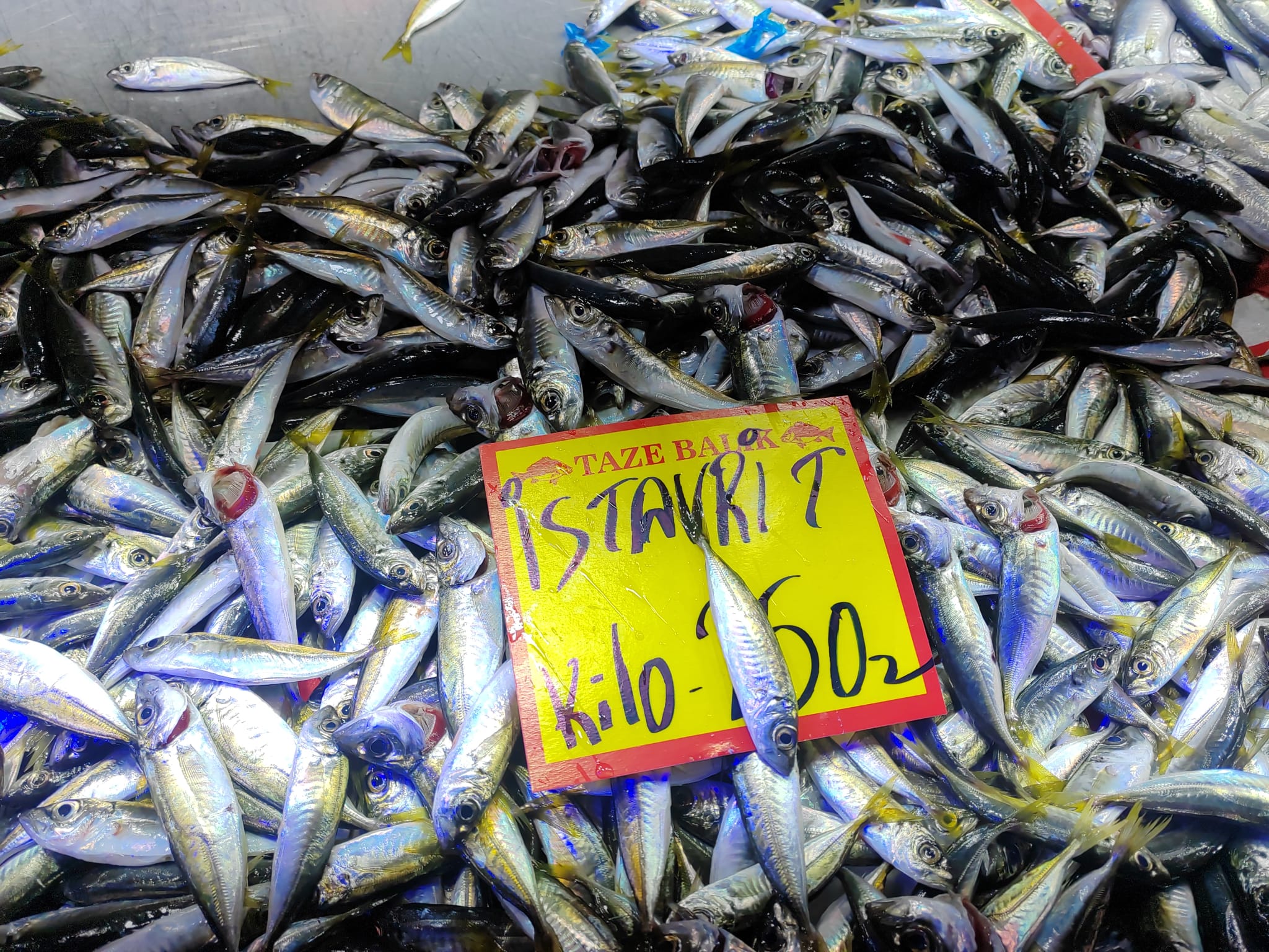 6Eac2Cd4 7000 4E51 Af78 252Ce152790A