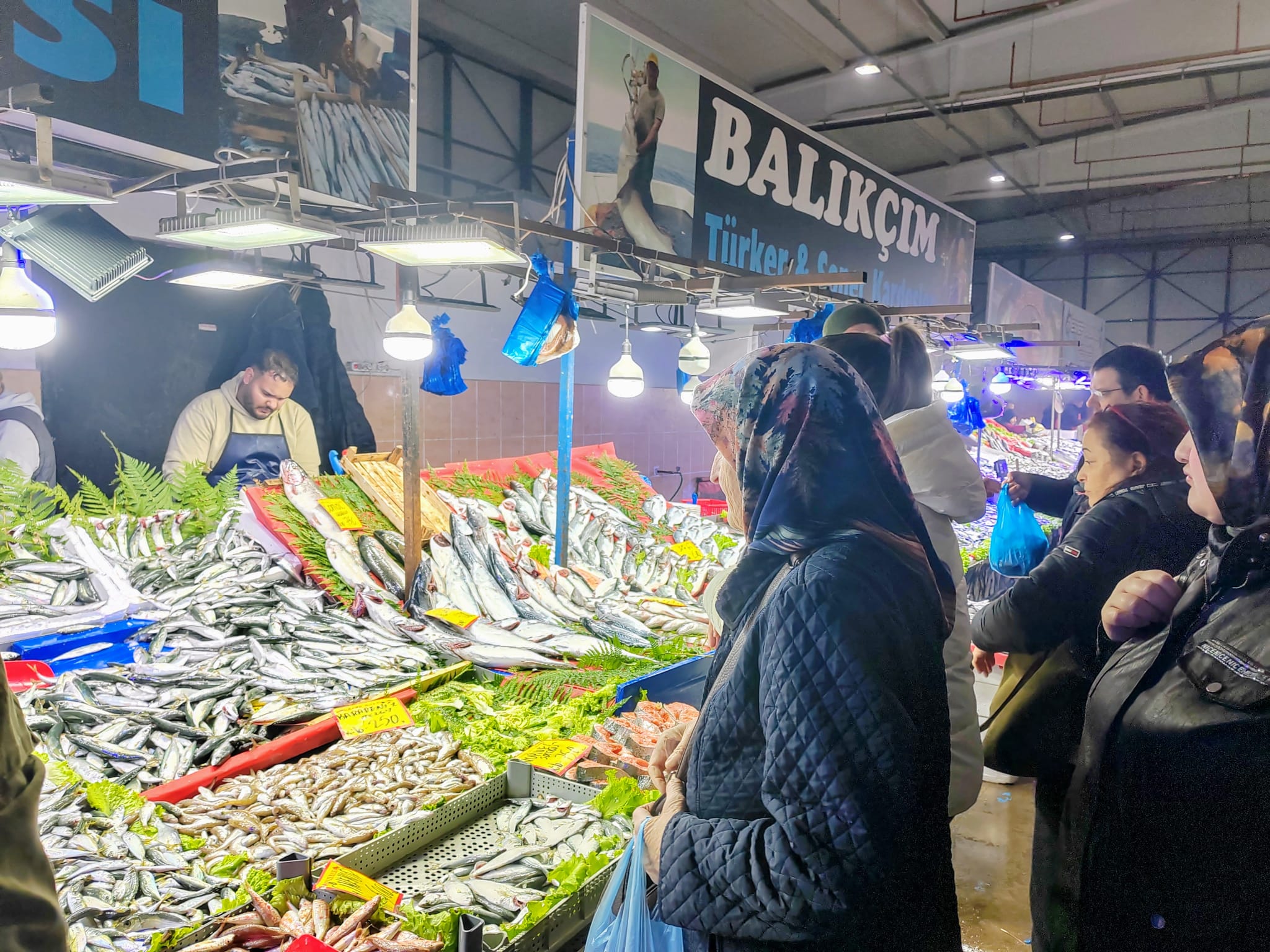 74C1A7C2 Ed9A 494D A28B B2D9469Ed801