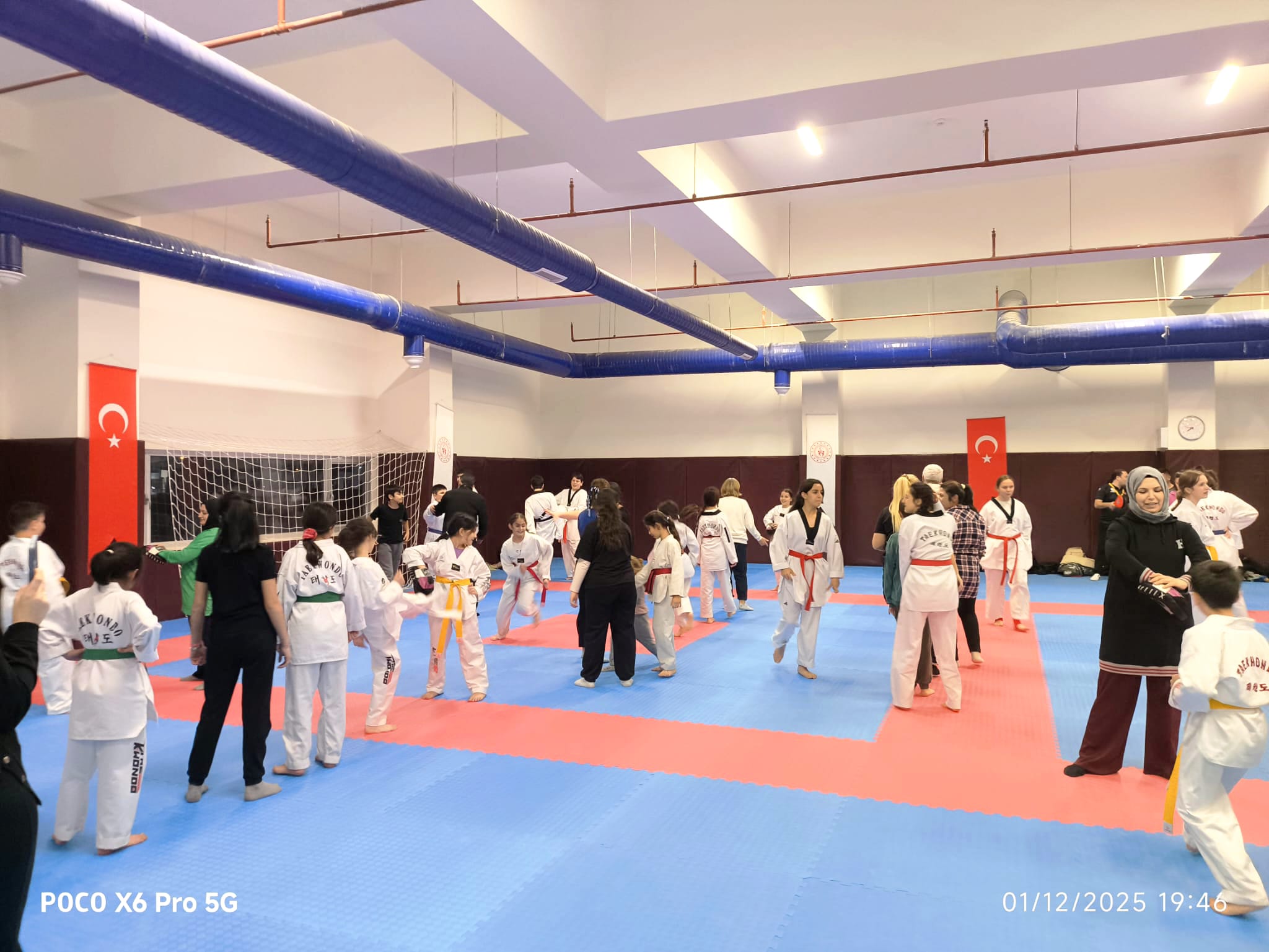 778Df9B9 4661 41E4 Ae68 993Ead18670A