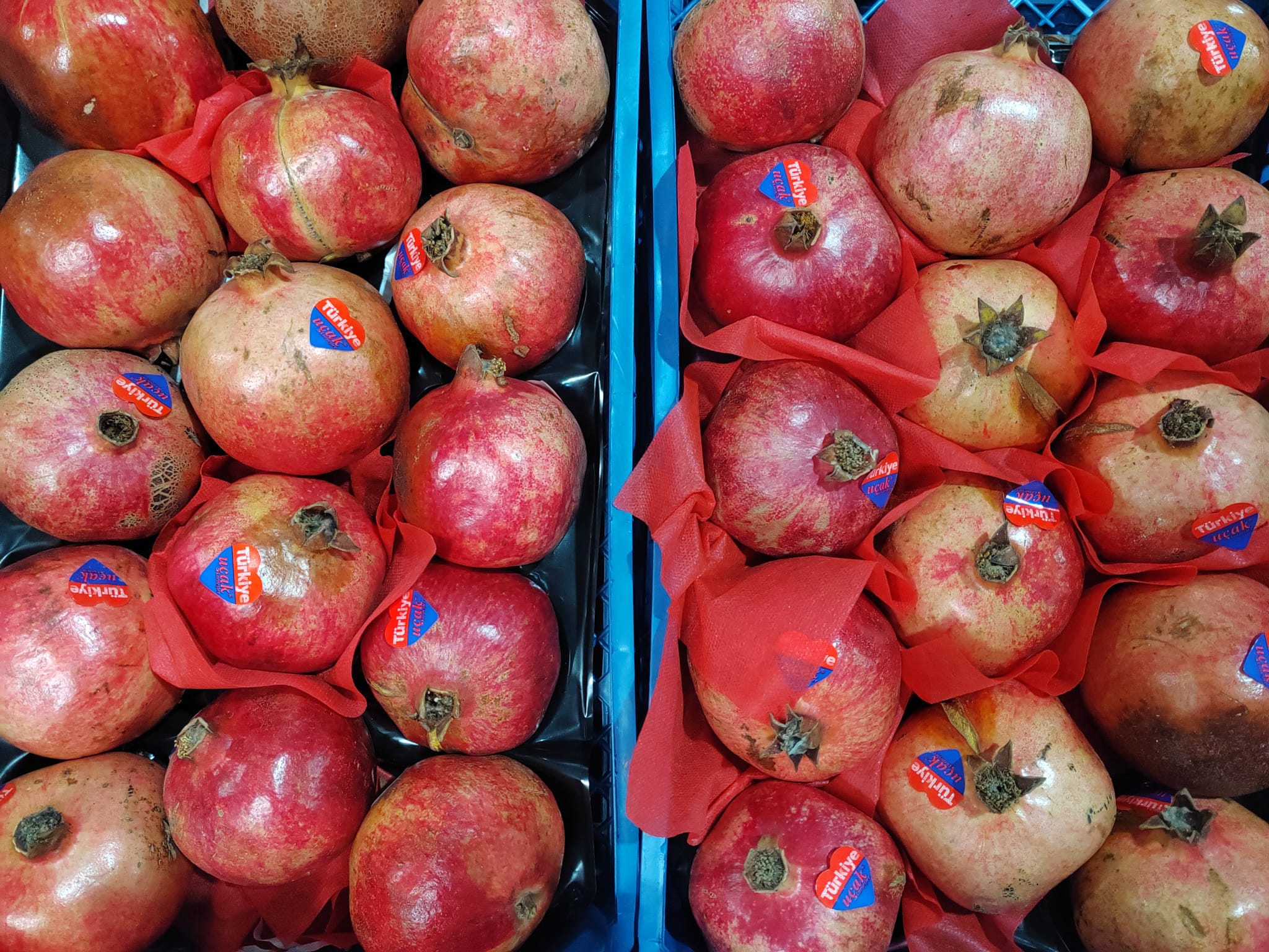 78990B7E Bdf7 41B9 B4C2 Fd718533C2Fd