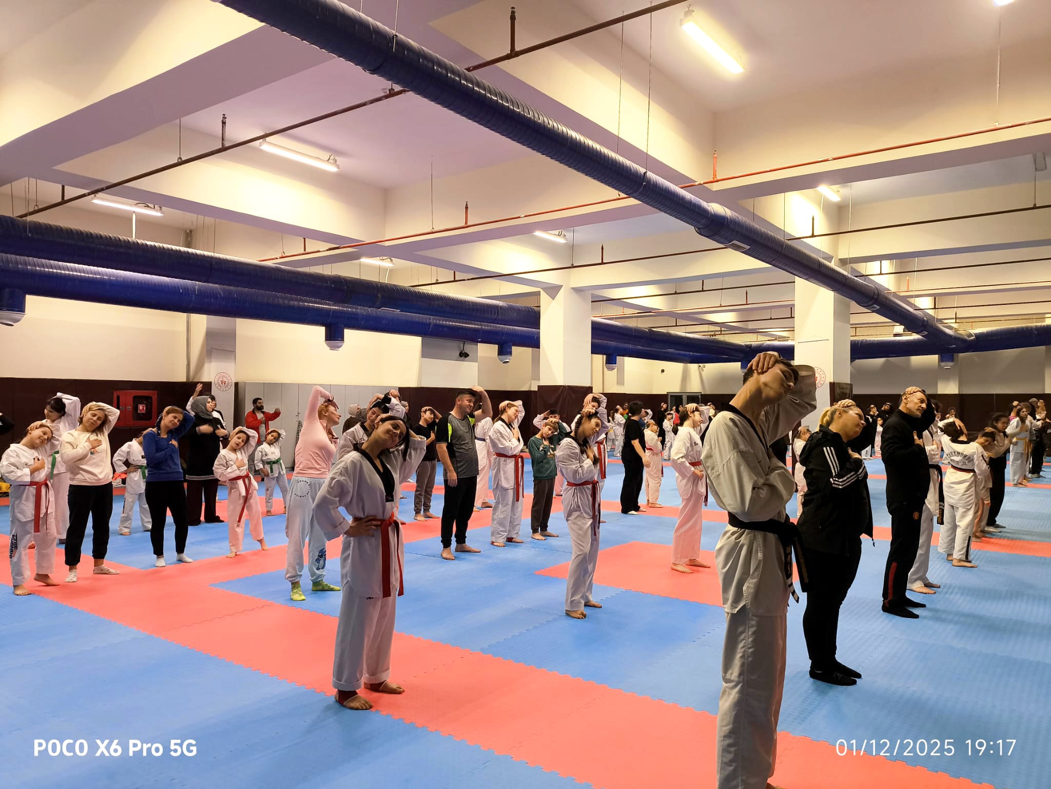 826587D6 Ed19 4514 93F6 E3E1834943Fe