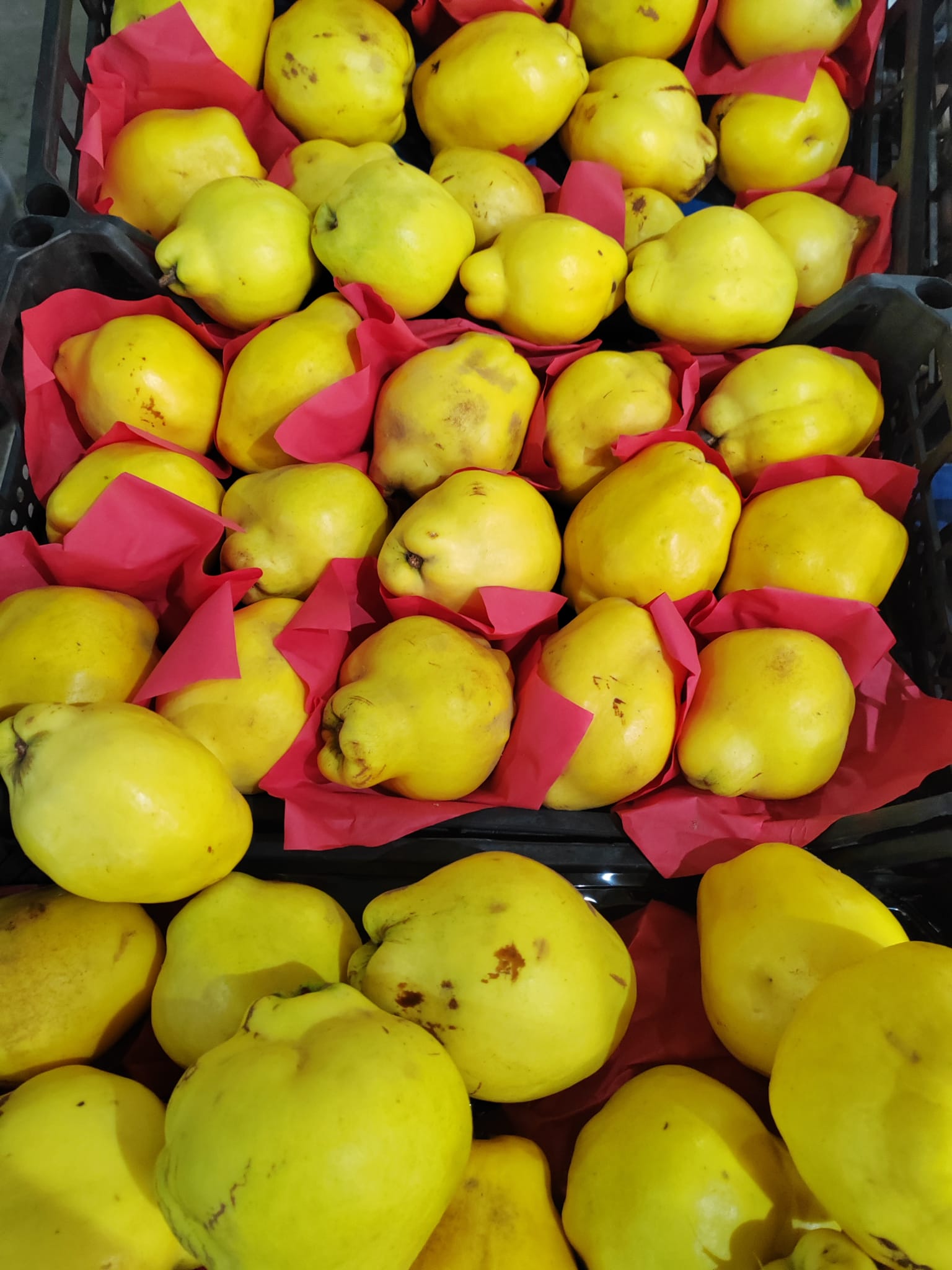 86073Fe3 2093 4280 A862 230777B8F66C