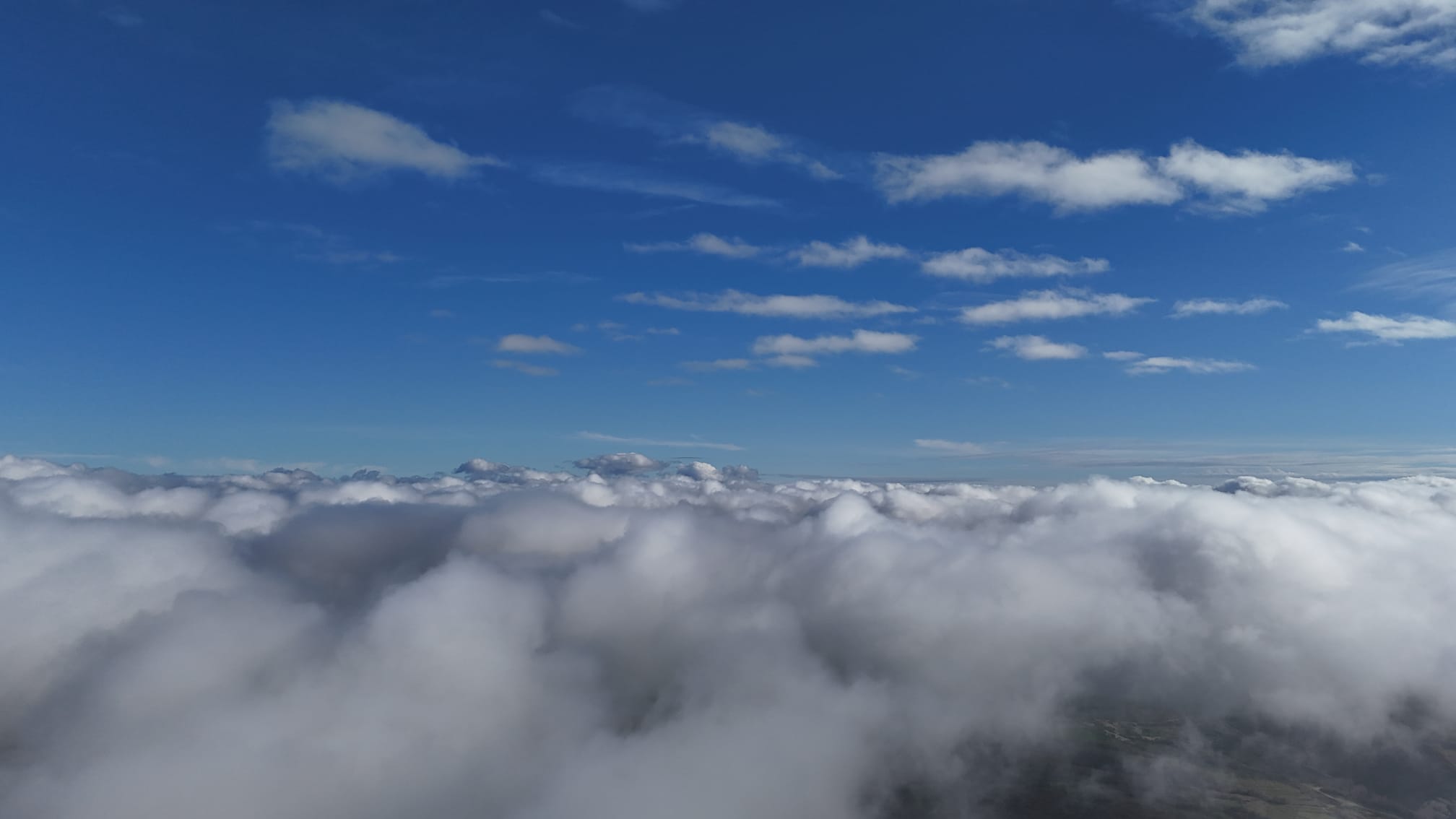 8Bbdc26C 9A94 4Cce Bb1D Ce70D533Fe19