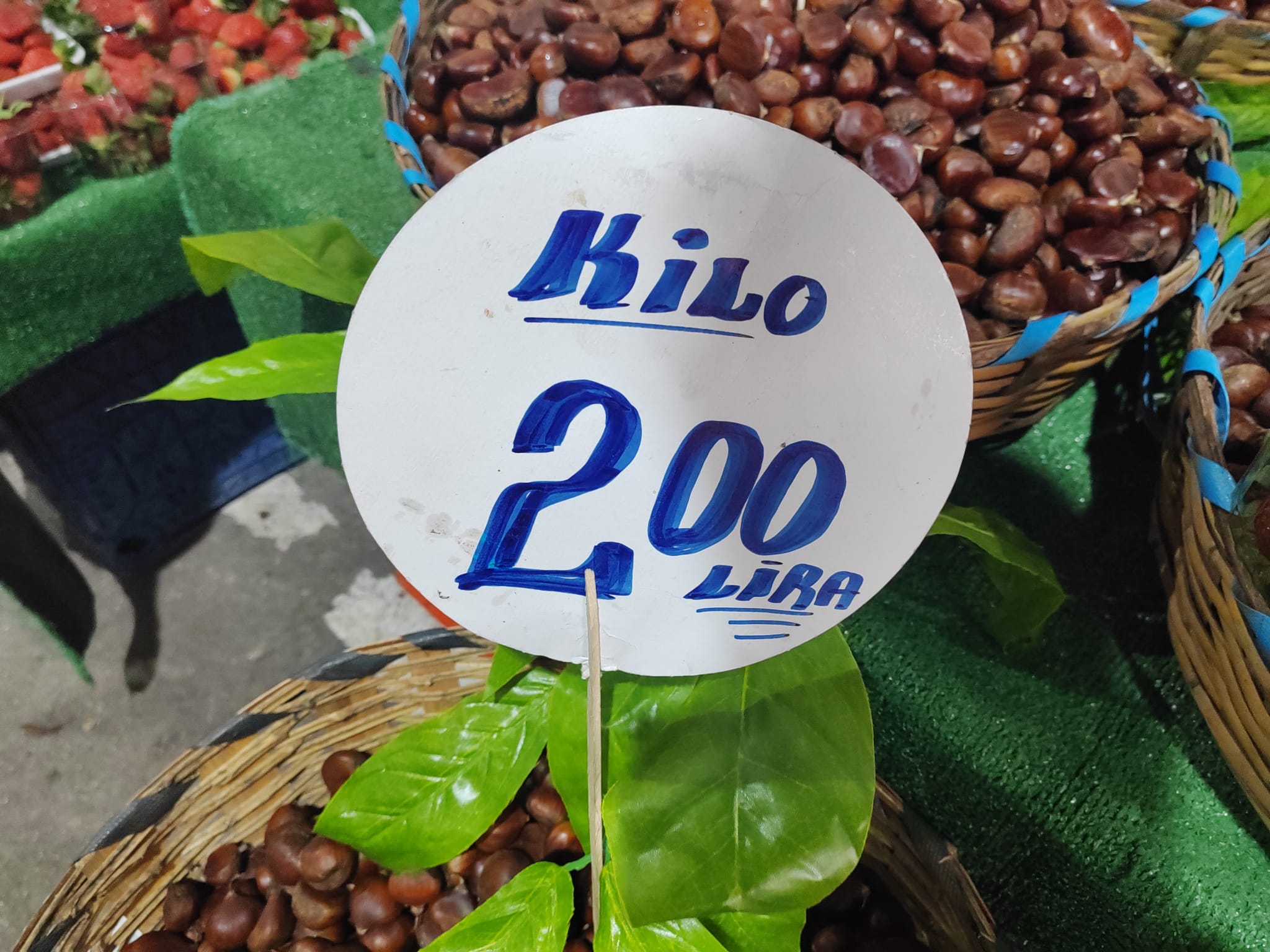 9A166876 A8A1 4D49 Af91 4Ce003Bbeb2D