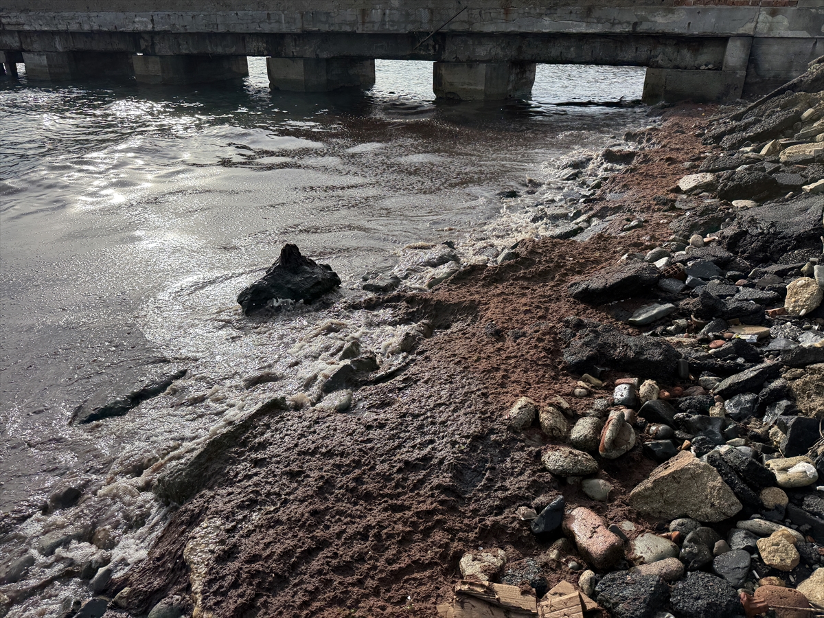 A A 20251206 39906127 39906124 T E K I R D A G D A P O Y R A Z N E D E N I Y L E S A H I L I N B I R K I S M I N D A K I R M I Z I Y O S U N B I R I K T I