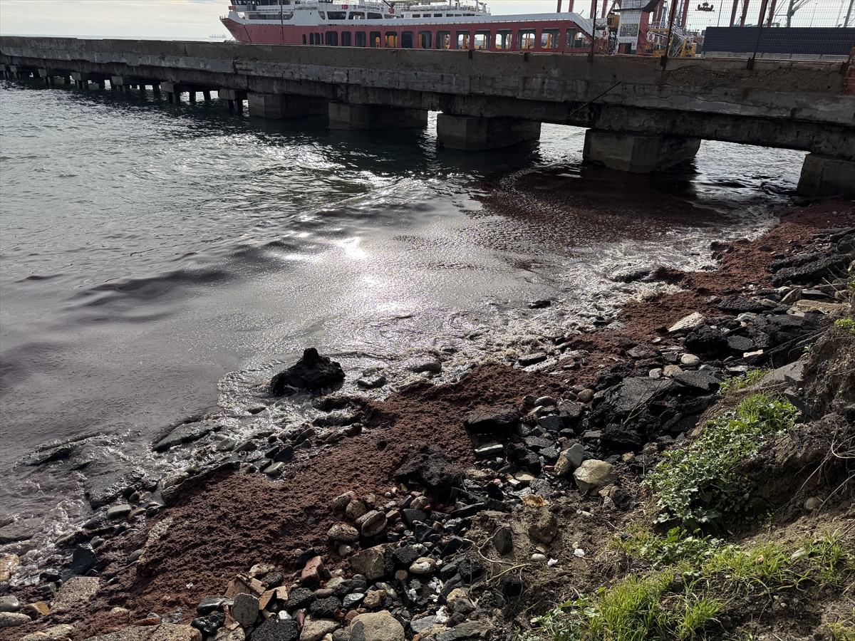 A A 20251206 39906127 39906125 T E K I R D A G D A P O Y R A Z N E D E N I Y L E S A H I L I N B I R K I S M I N D A K I R M I Z I Y O S U N B I R I K T I