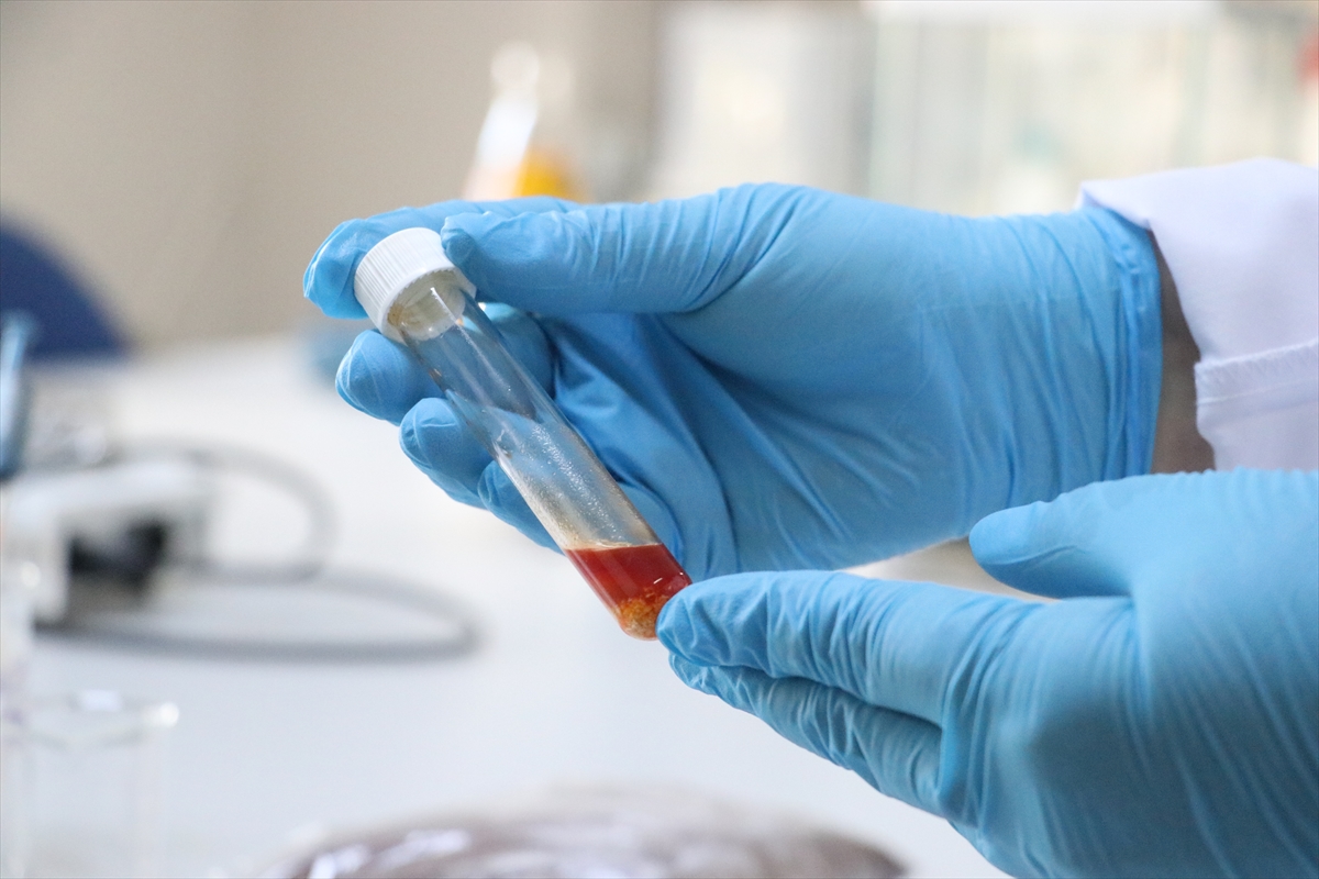 A A 20251213 39969897 39969895 T E K I R D A G D A U Z U M A T I G I N D A N Y U K S E K D E G E R L I T E K H U C R E Y A G I U R E T I L D I