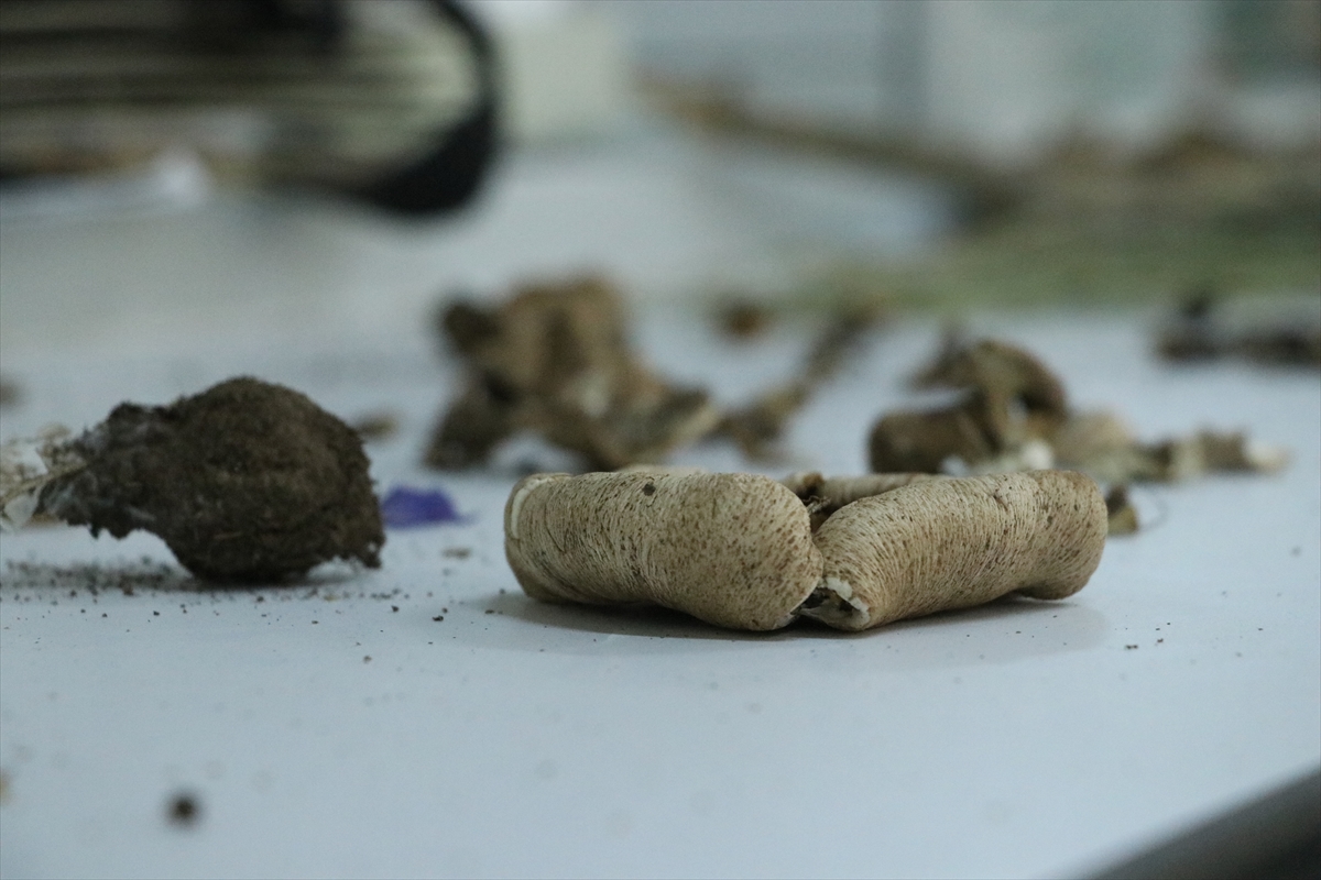 A A 20251215 39983398 39983391 G A N O S D A G I N A A I T M A N T A R C E S I T L E R I N I N E N V A N T E R I C I K A R I L I Y O R