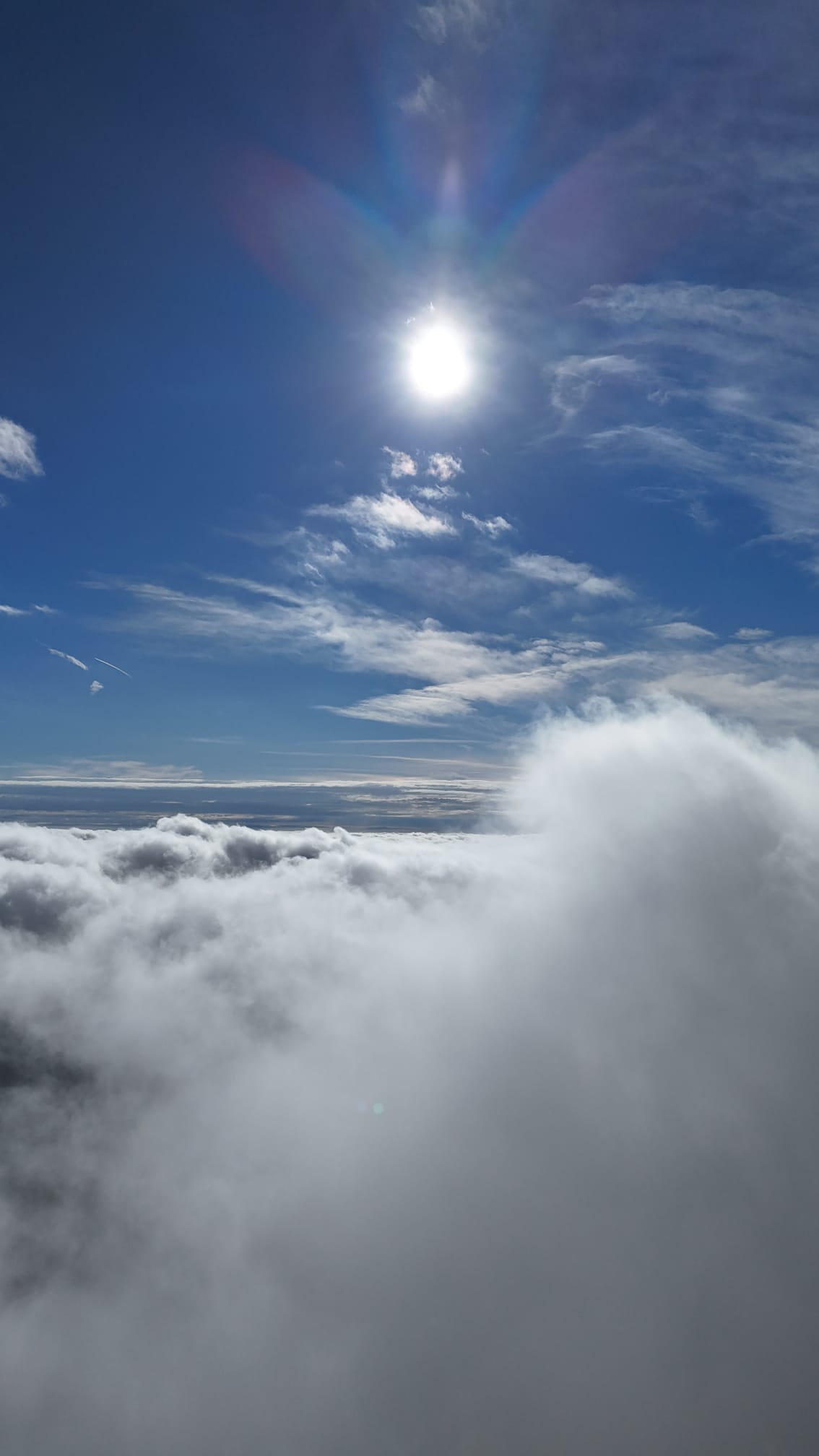 B5E8F54B A54A 4518 9F65 023D82Ee60Fc